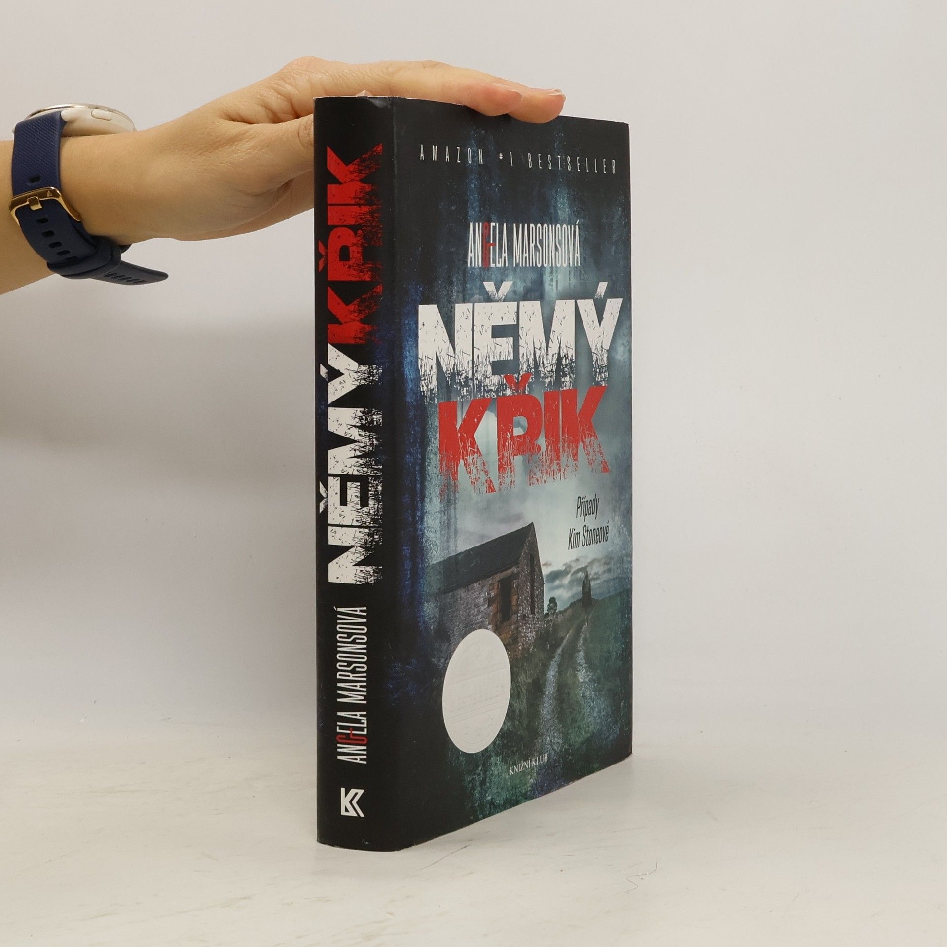 Angela Marsons Němý křik