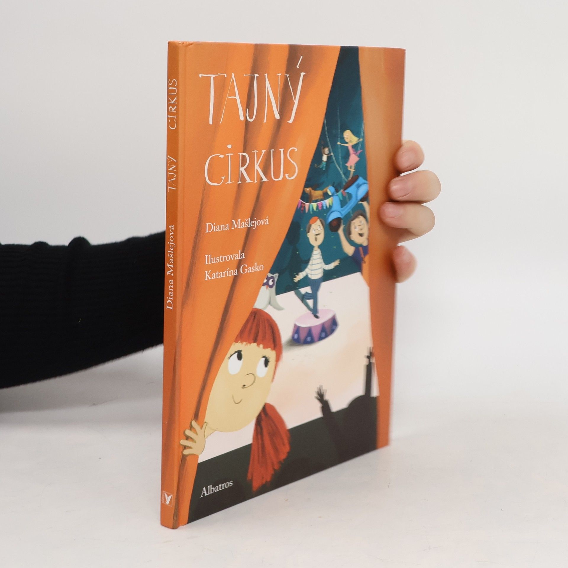 Diana Mašlejová Tajný cirkus
