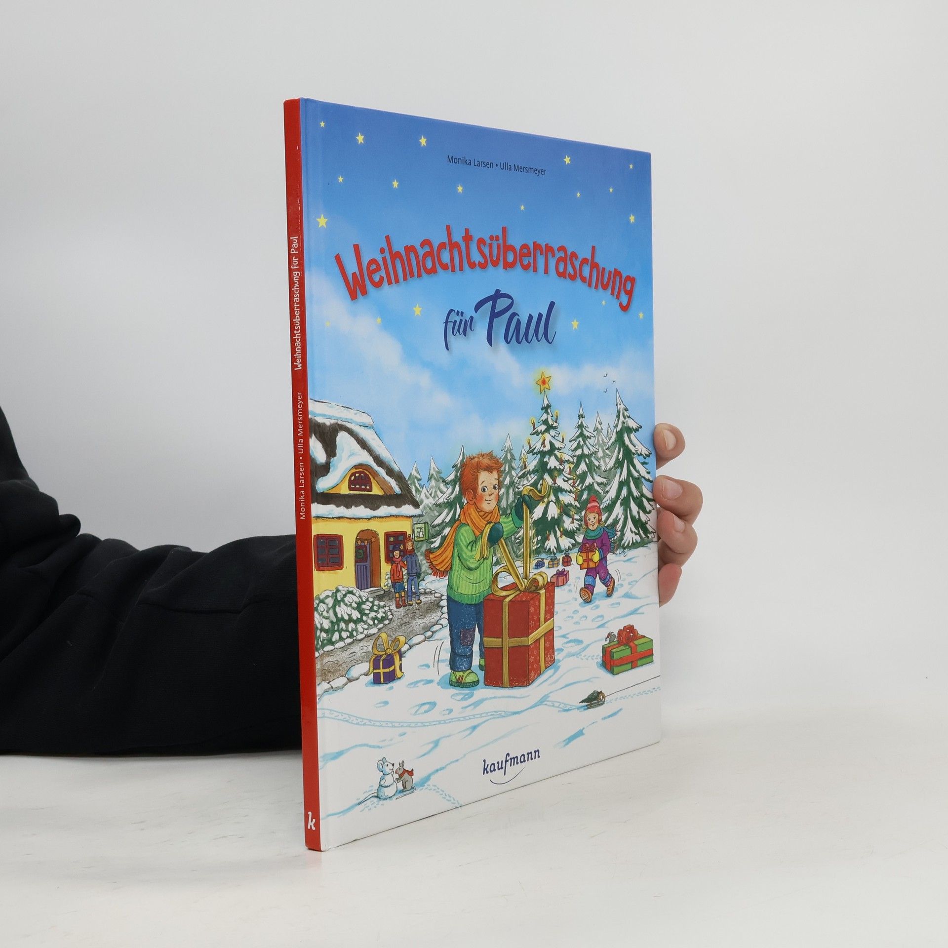 Monika Larsen Weihnachtsüberraschung für Paul