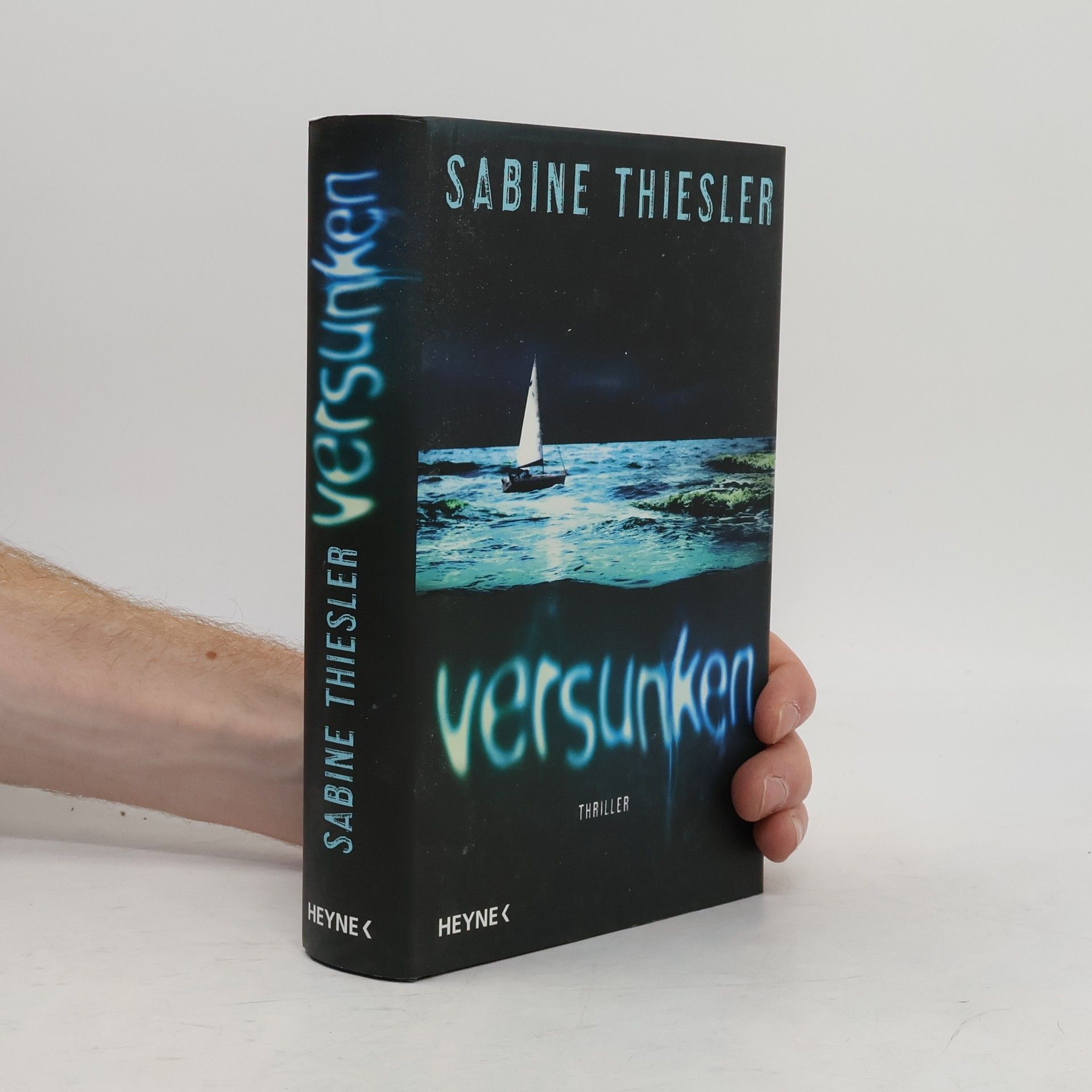 Sabine Thiesler Versunken