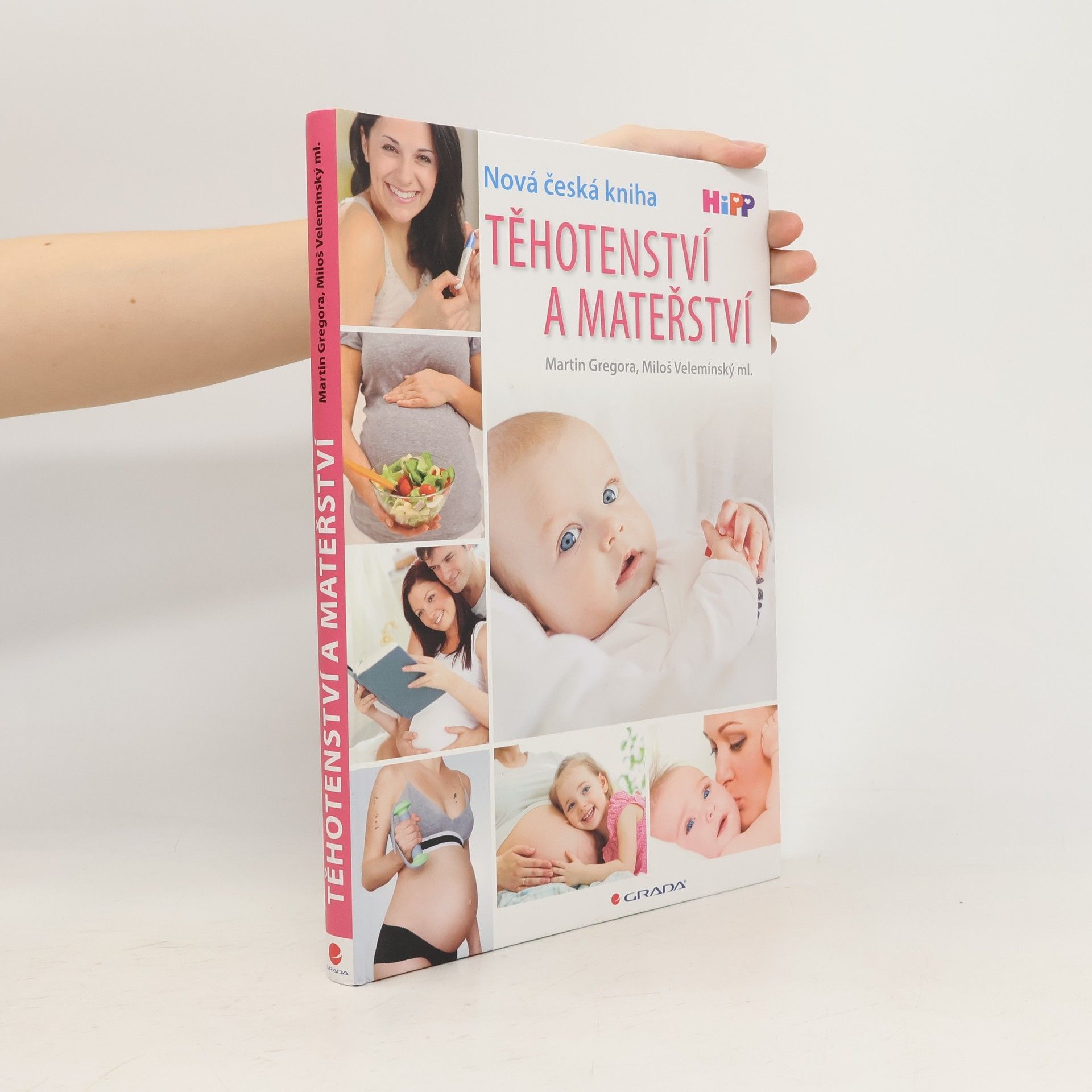 Martin Gregor-Dellin Těhotenství a mateřství