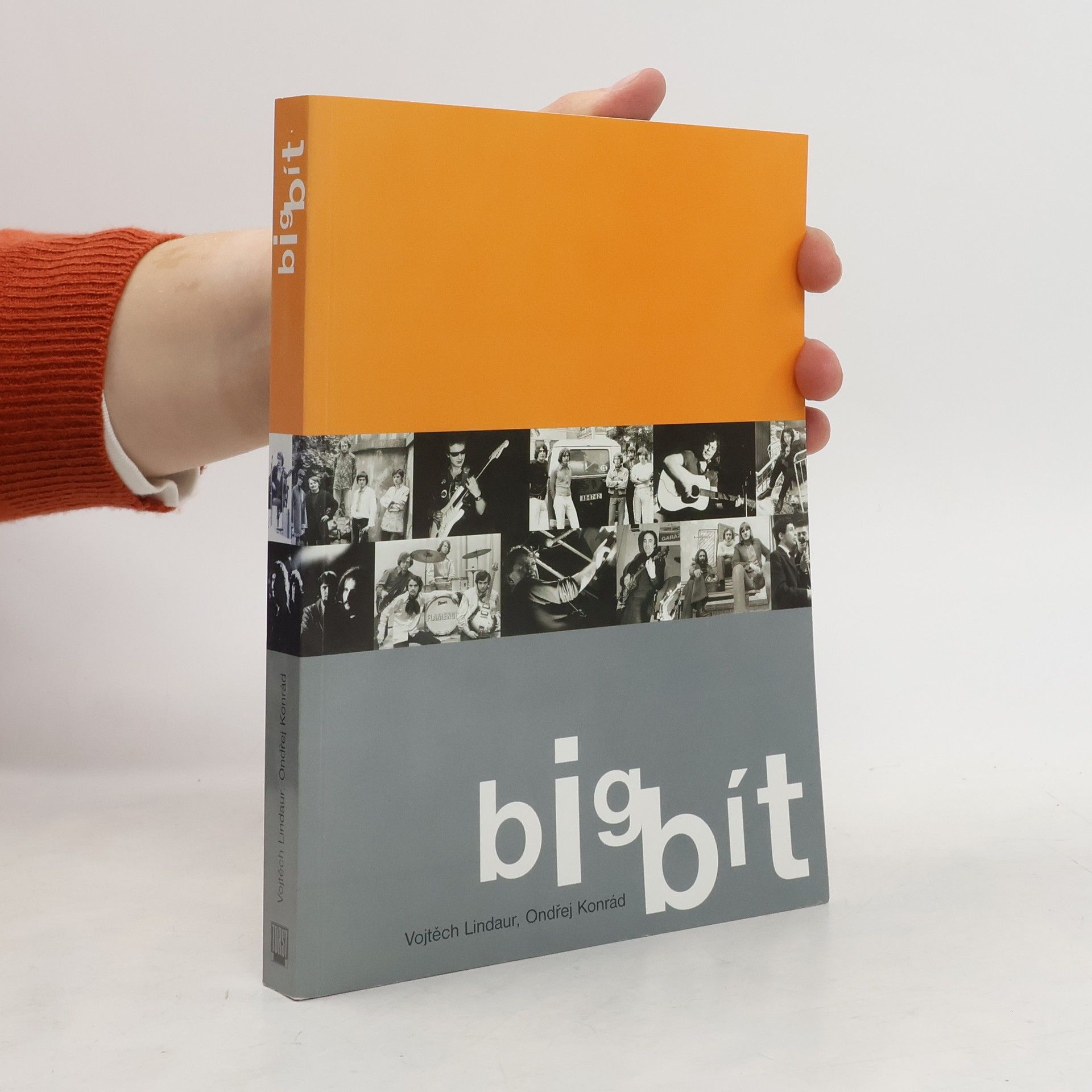 Vojtěch Lindaur Bigbít