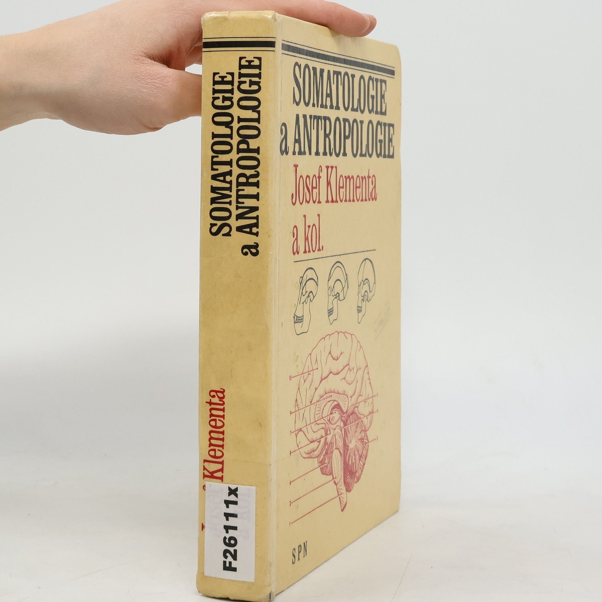 Somatologie a antropologie