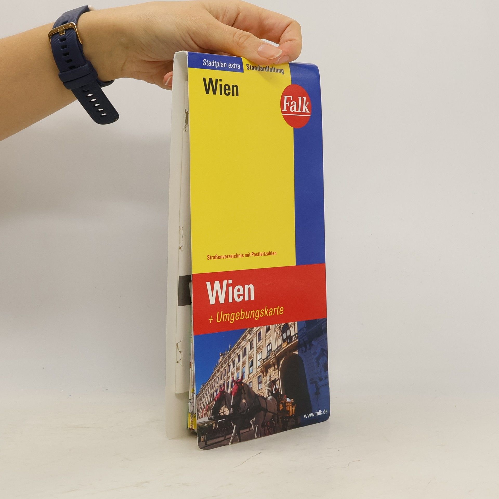 Collectif d'auteurs Falk Plan Wien