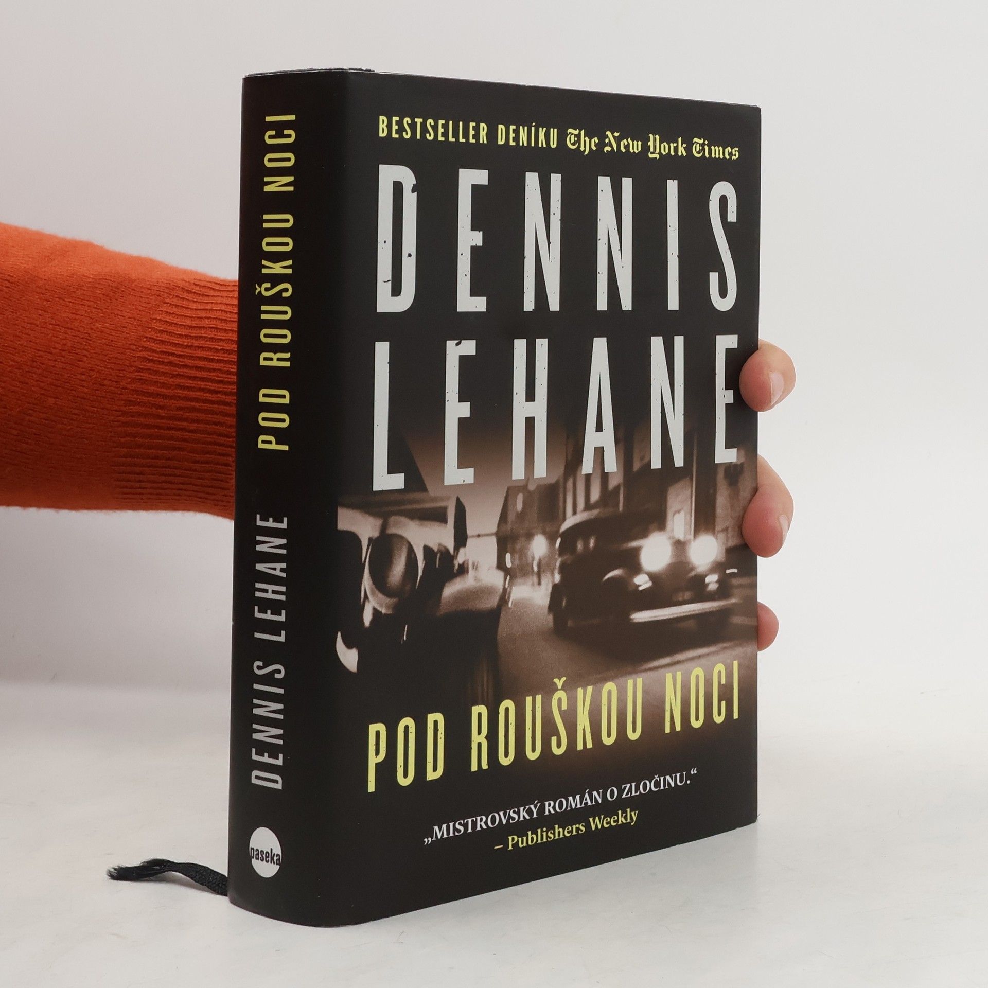 Dennis Lehane Pod rouškou noci