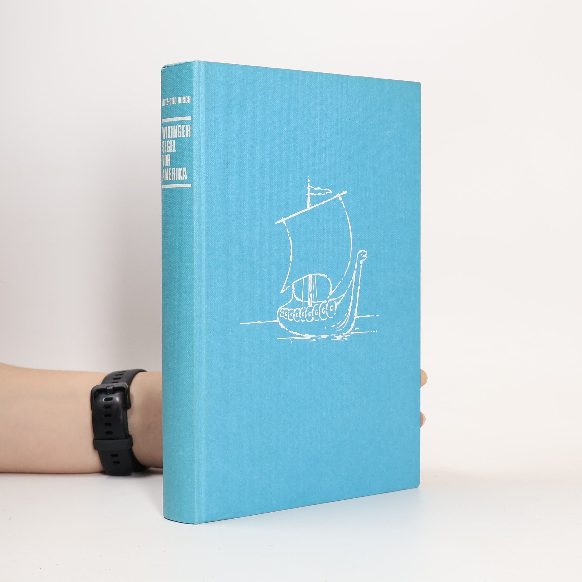 Wikingersegel vor Amerika