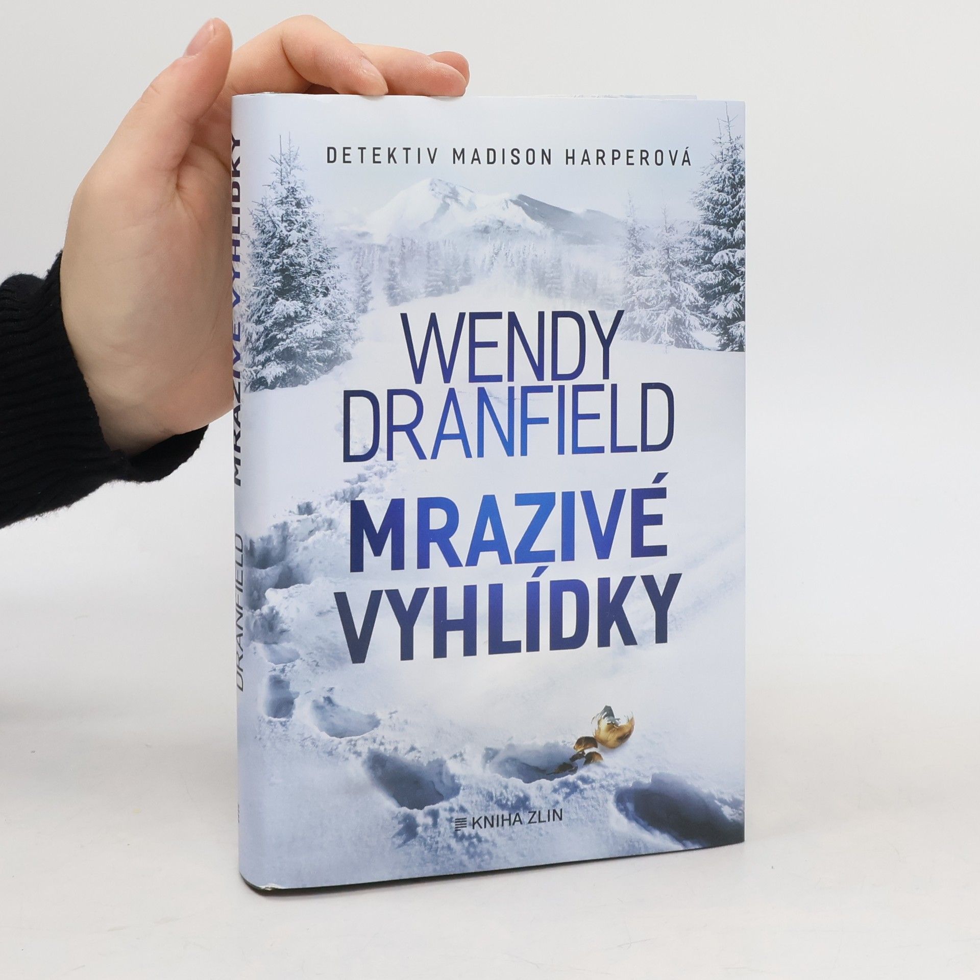 Wendy Dranfield Mrazivé vyhlídky