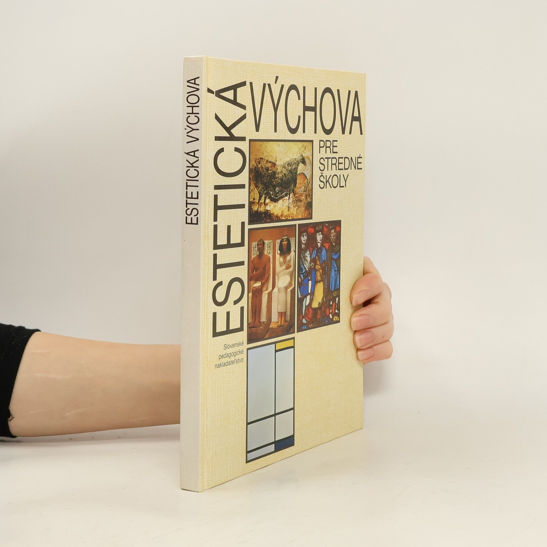 Anna Fischerová Estetická výchova pre stredné školy