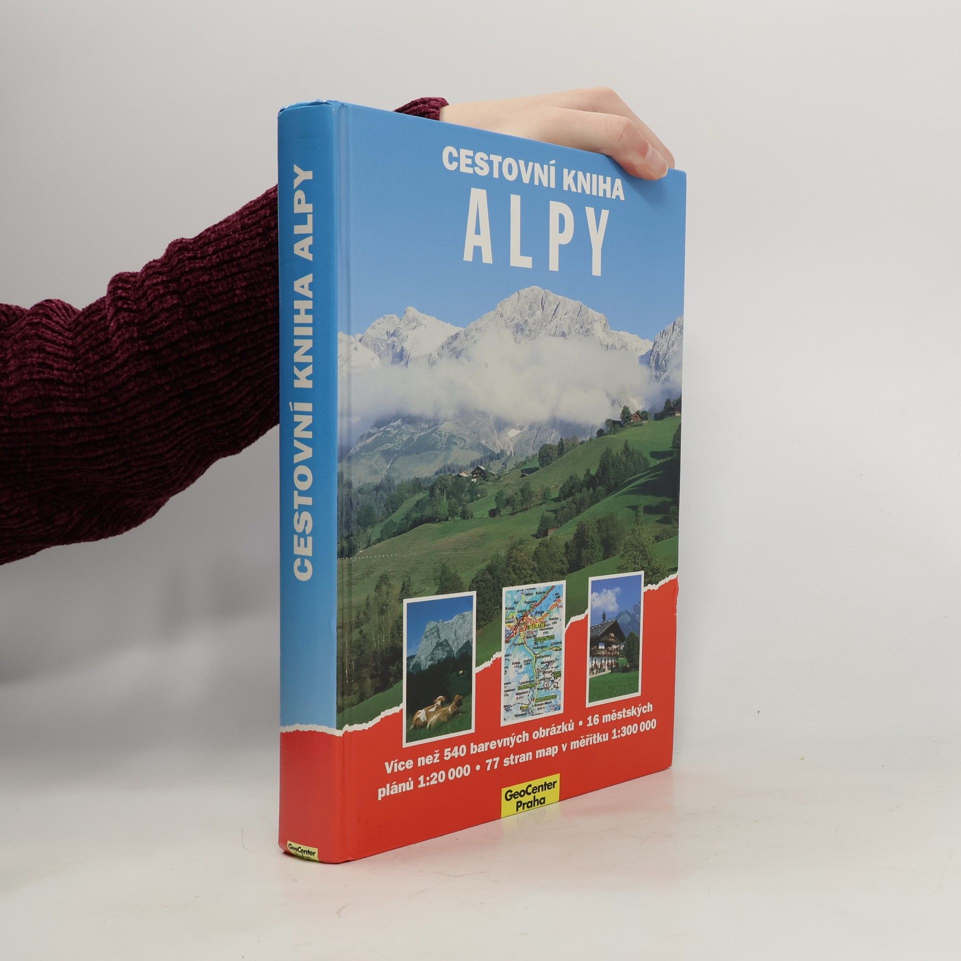 Dieter Maier Cestovní kniha : Alpy