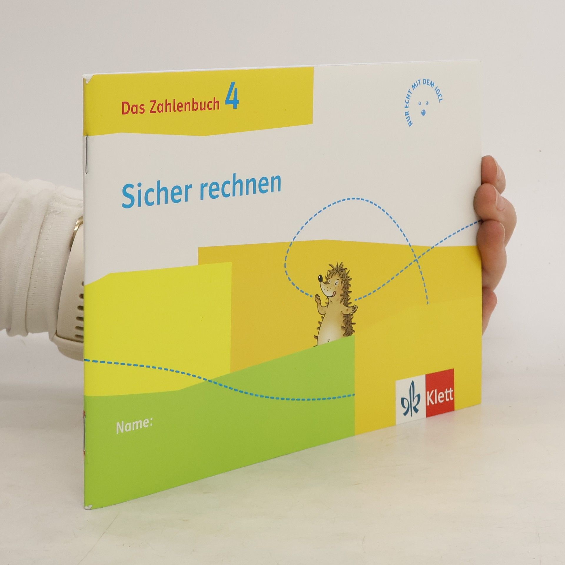 Klett Ernst /Schulbuch Das Zahlenbuch 4. Igel-Übungsheft - Sicher rechnen (Arbeitsheft für das tägliche Training) Klasse 4