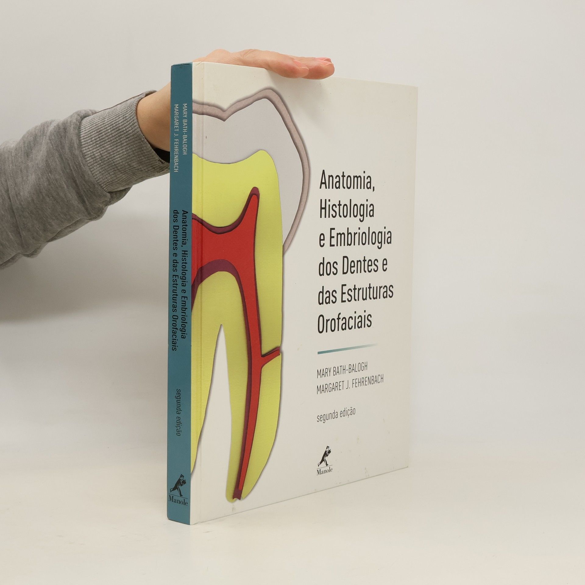 Anatomia, Histologia e Embriologia dos Dentes e das Estruturas Orofaciais