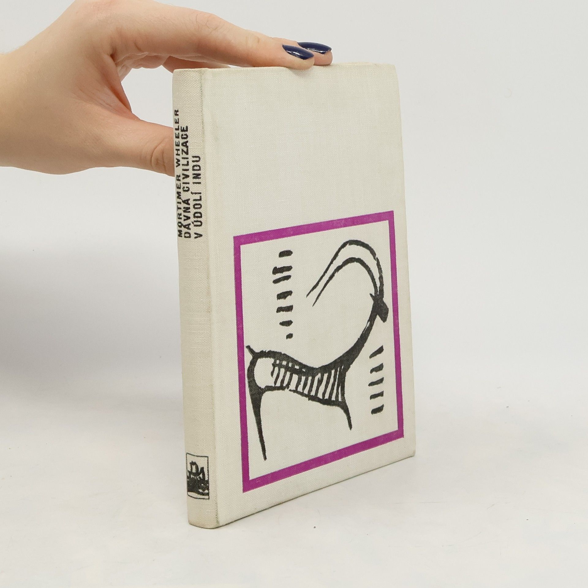 Jaroslav Vacek Dávná civilizace v údolí Indu