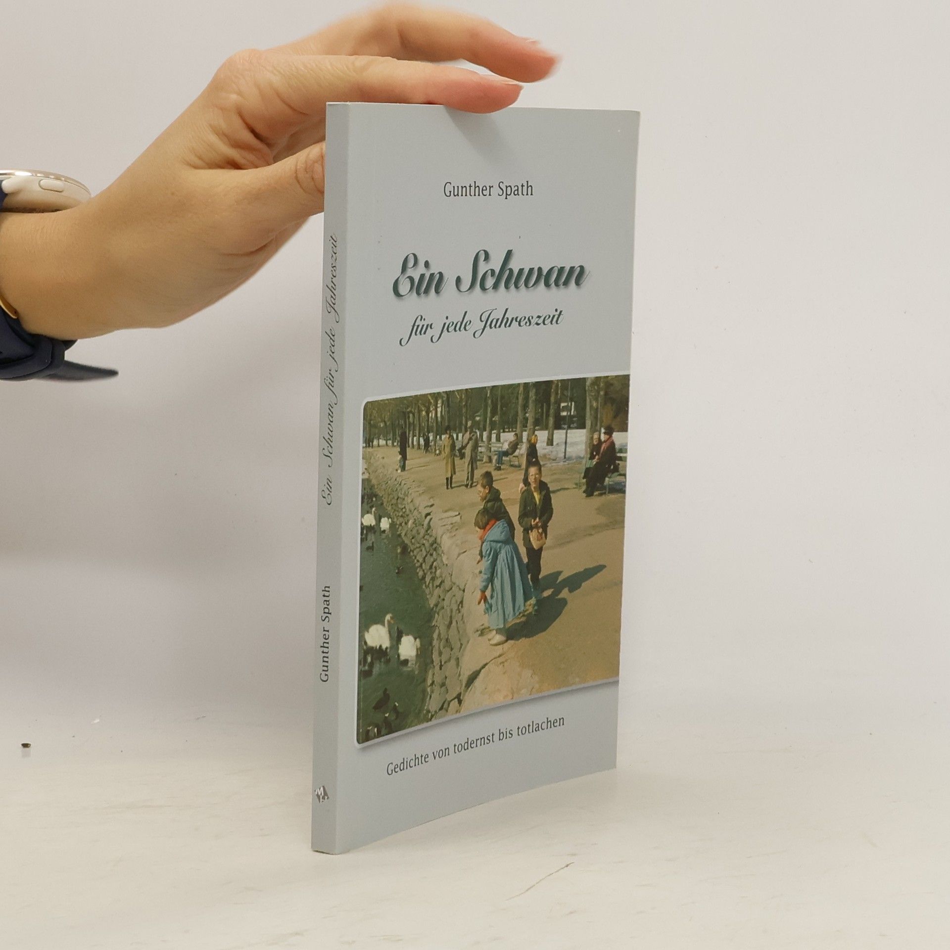 Ein Schwan für jede Jahreszeit