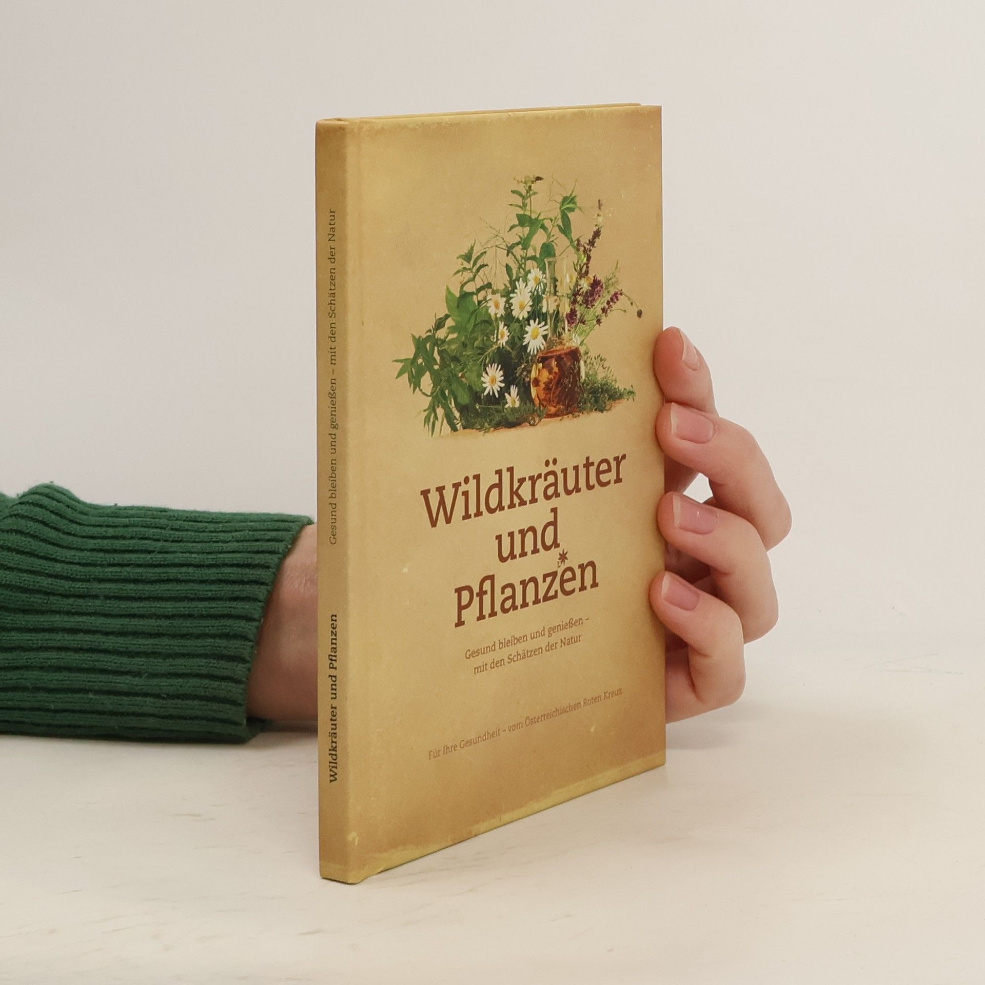 Wildkräuter und Pflanzen