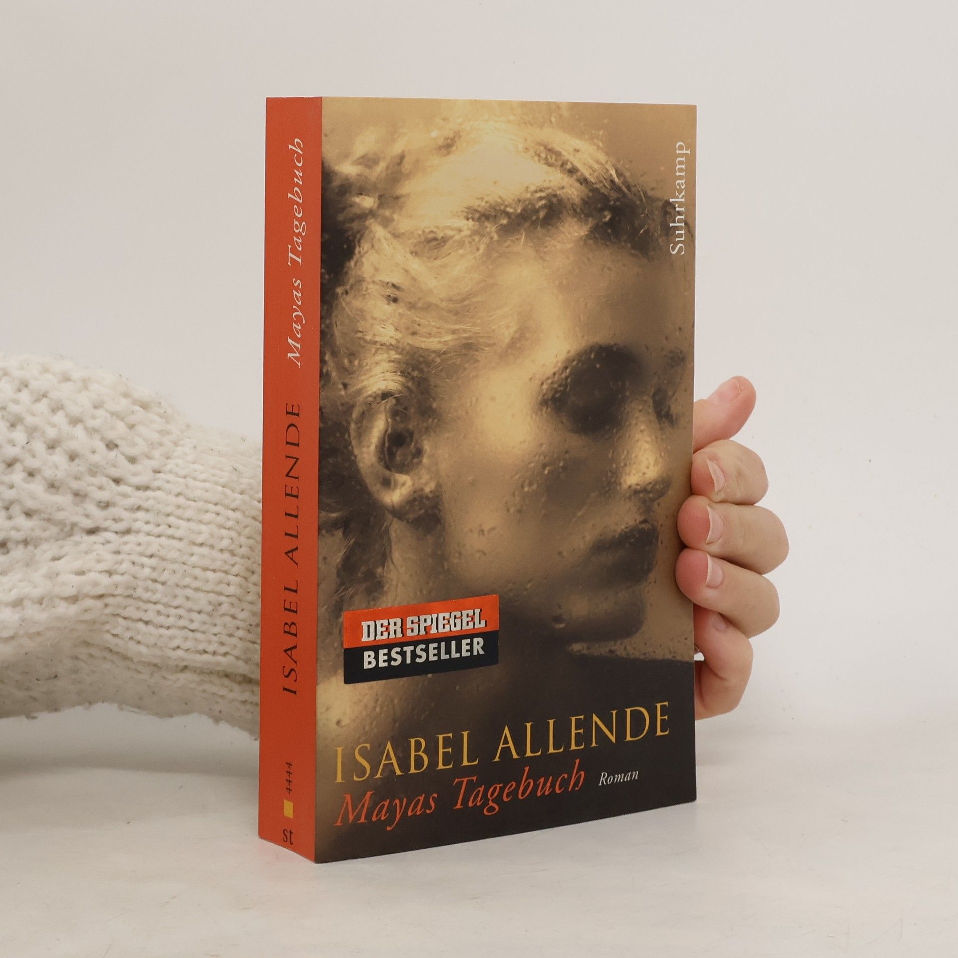 Isabel Allendeová Mayas Tagebuch