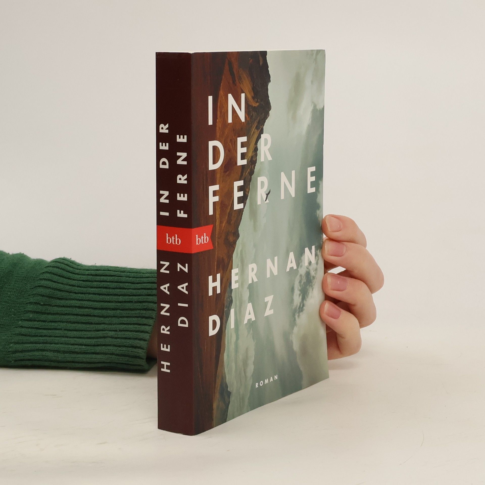 Hernán Díaz In der Ferne