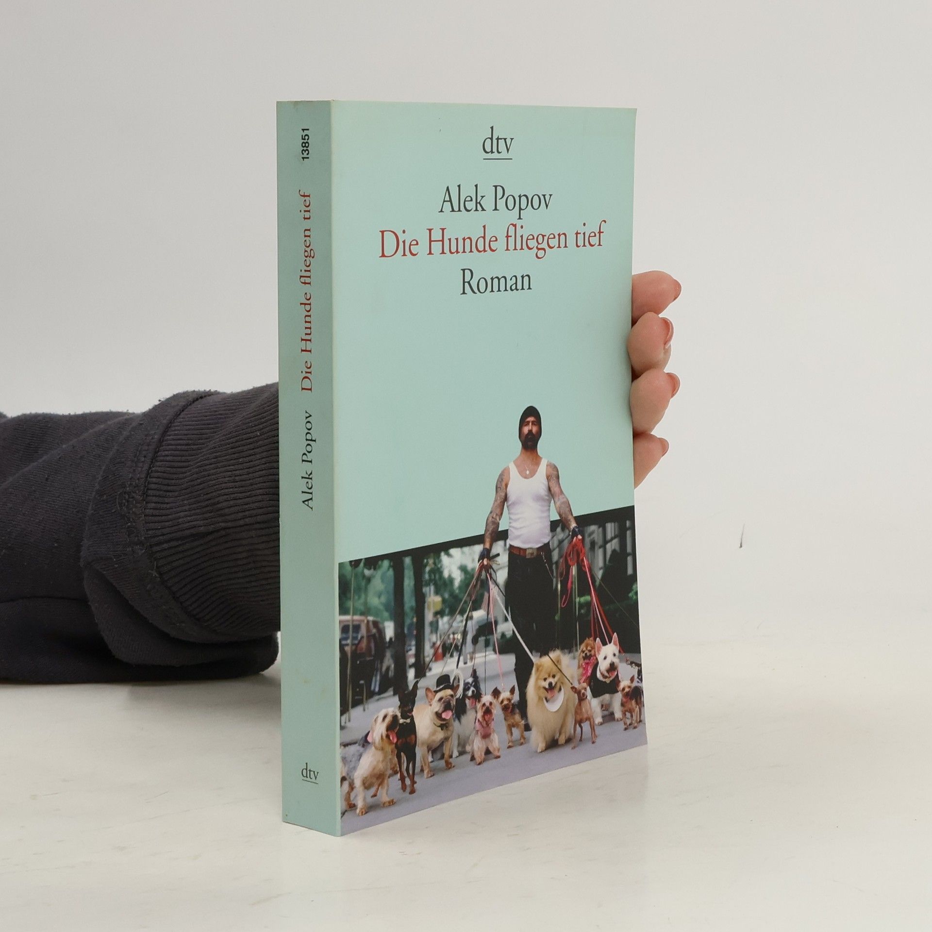 Alek Popow Die Hunde fliegen tief