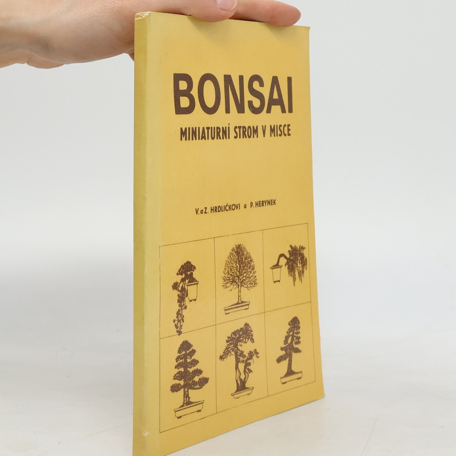 Bonsai. Miniaturní strom v misce