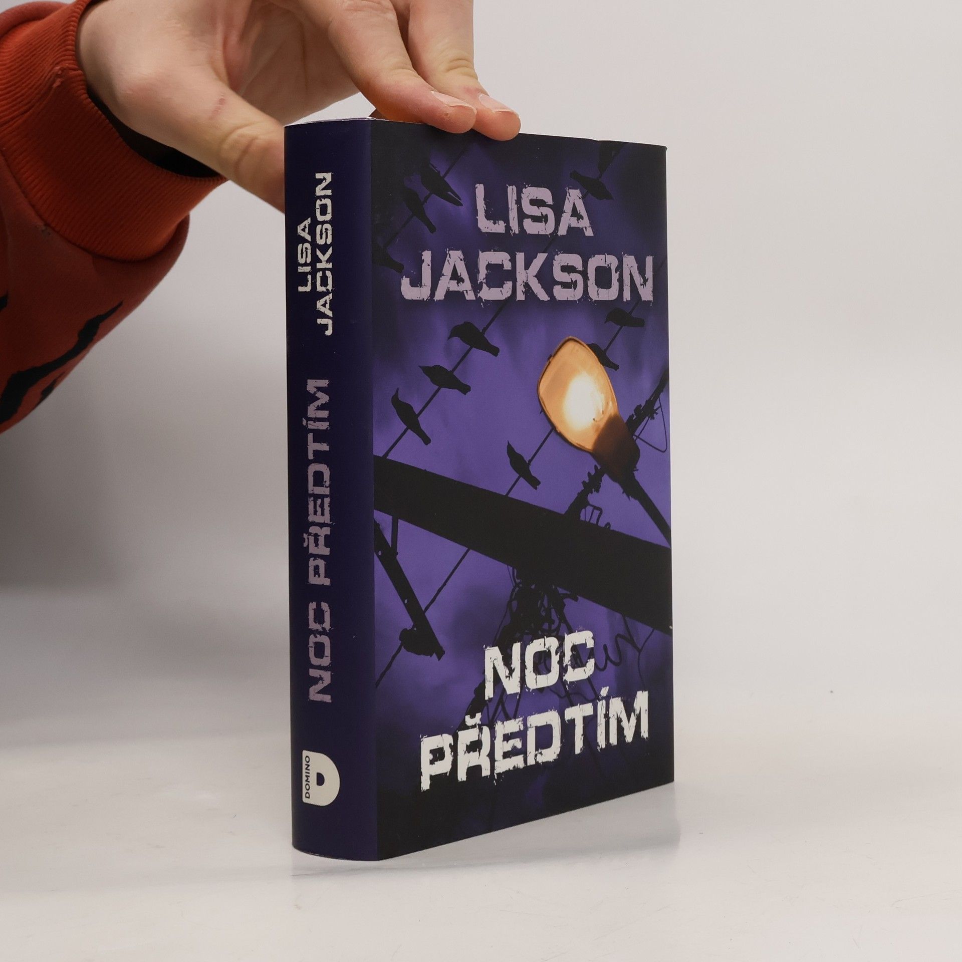 Lisa Jackson Noc předtím