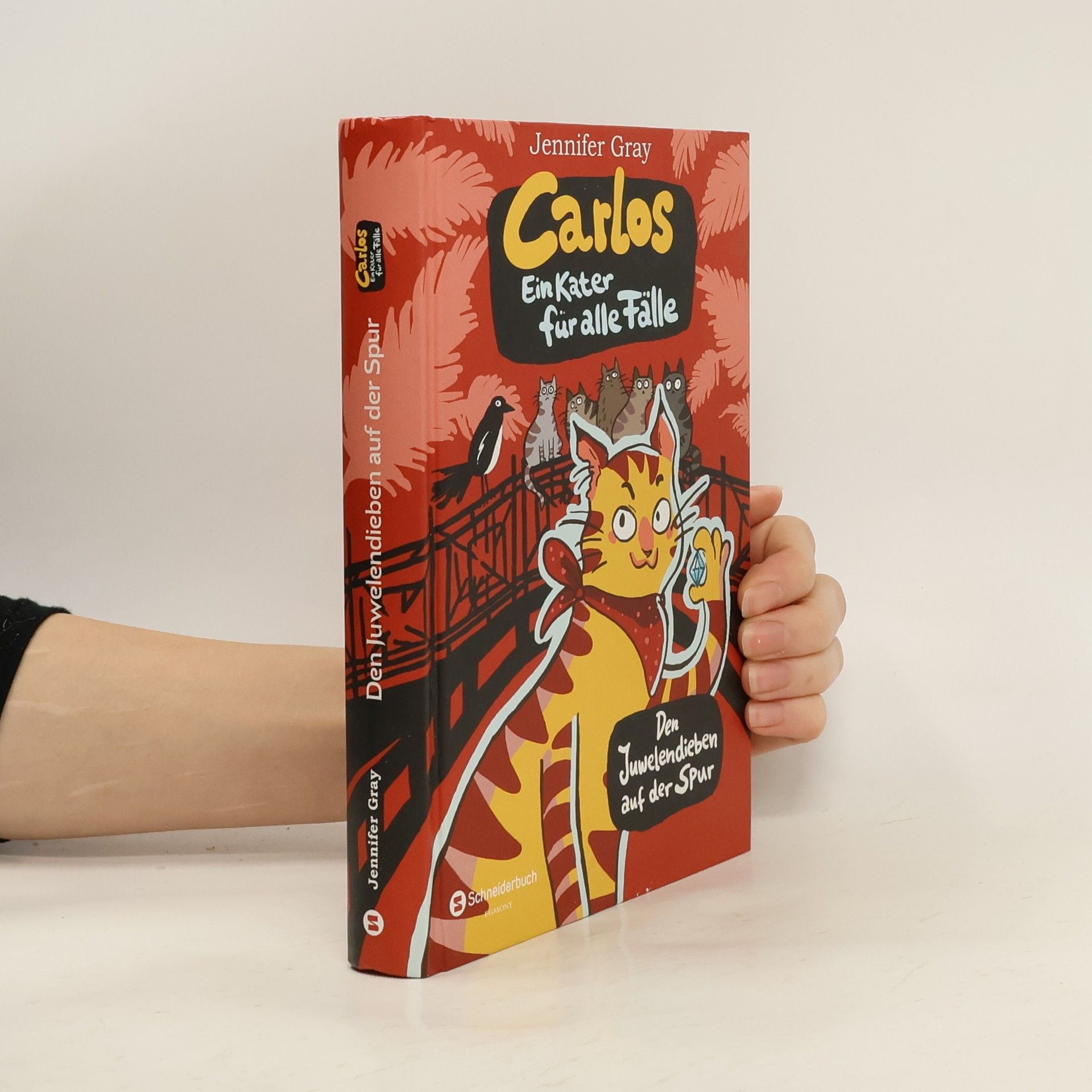 Den Juwelendieben auf der Spur