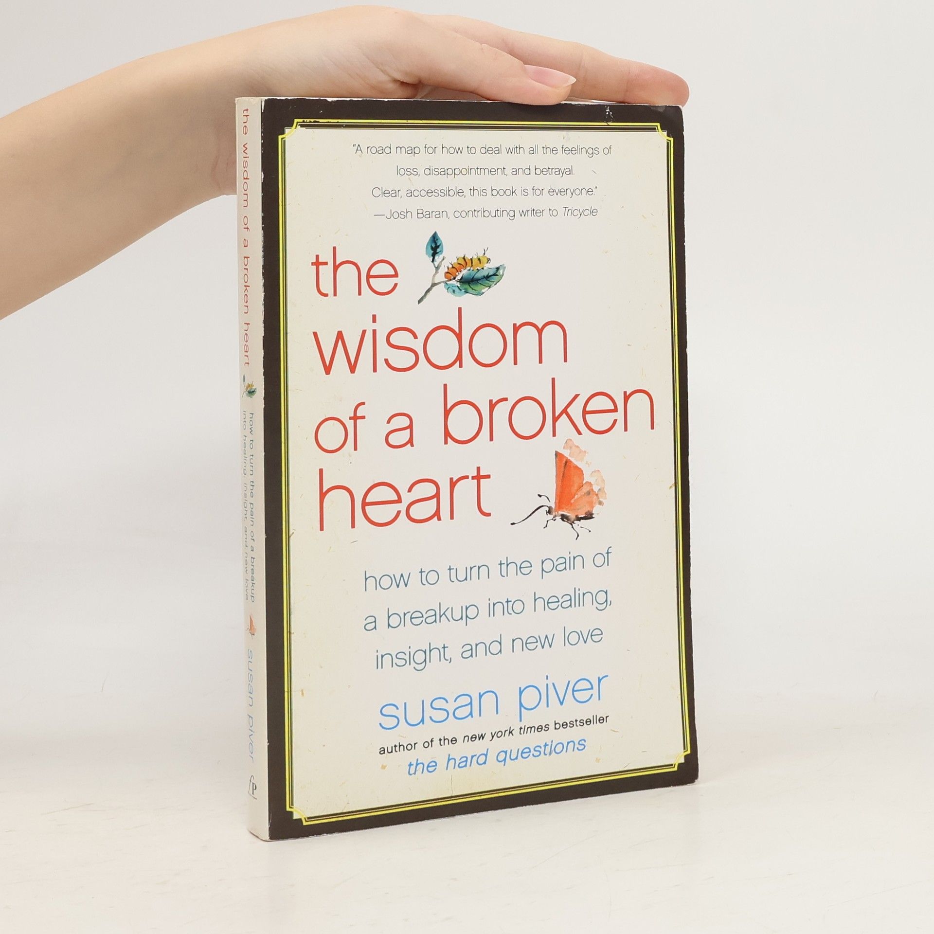 Susan Piver The Wisdom of a Broken Heart
