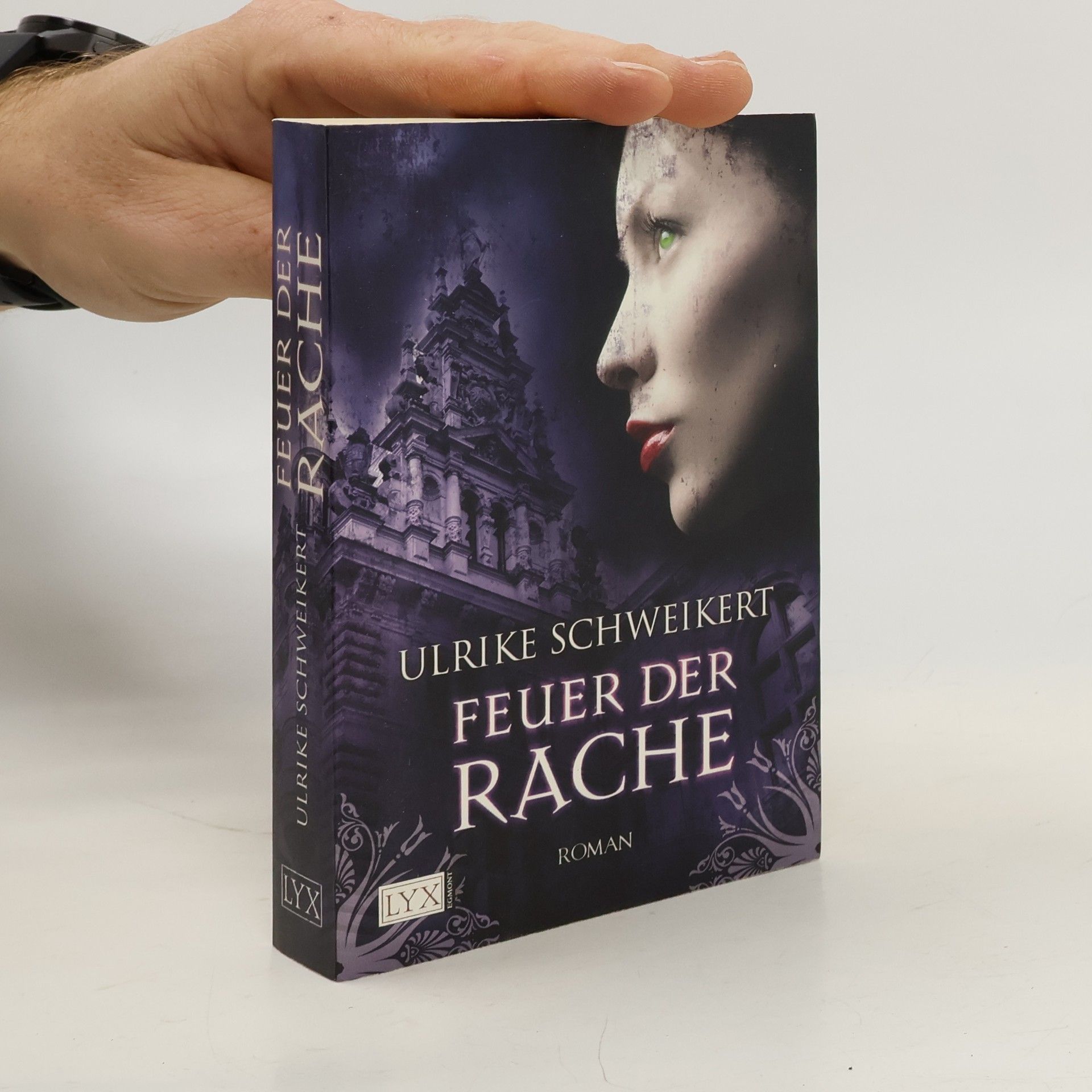 Ulrike Schweikert Feuer der Rache