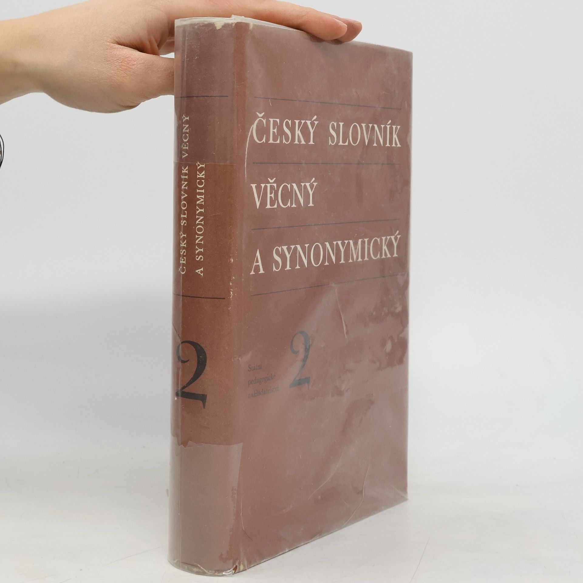 Kolektív autorov Český slovník věcný a synonymický 2
