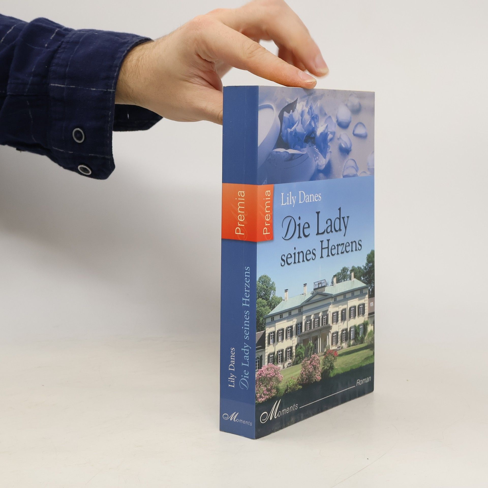 Die Lady seines Herzens