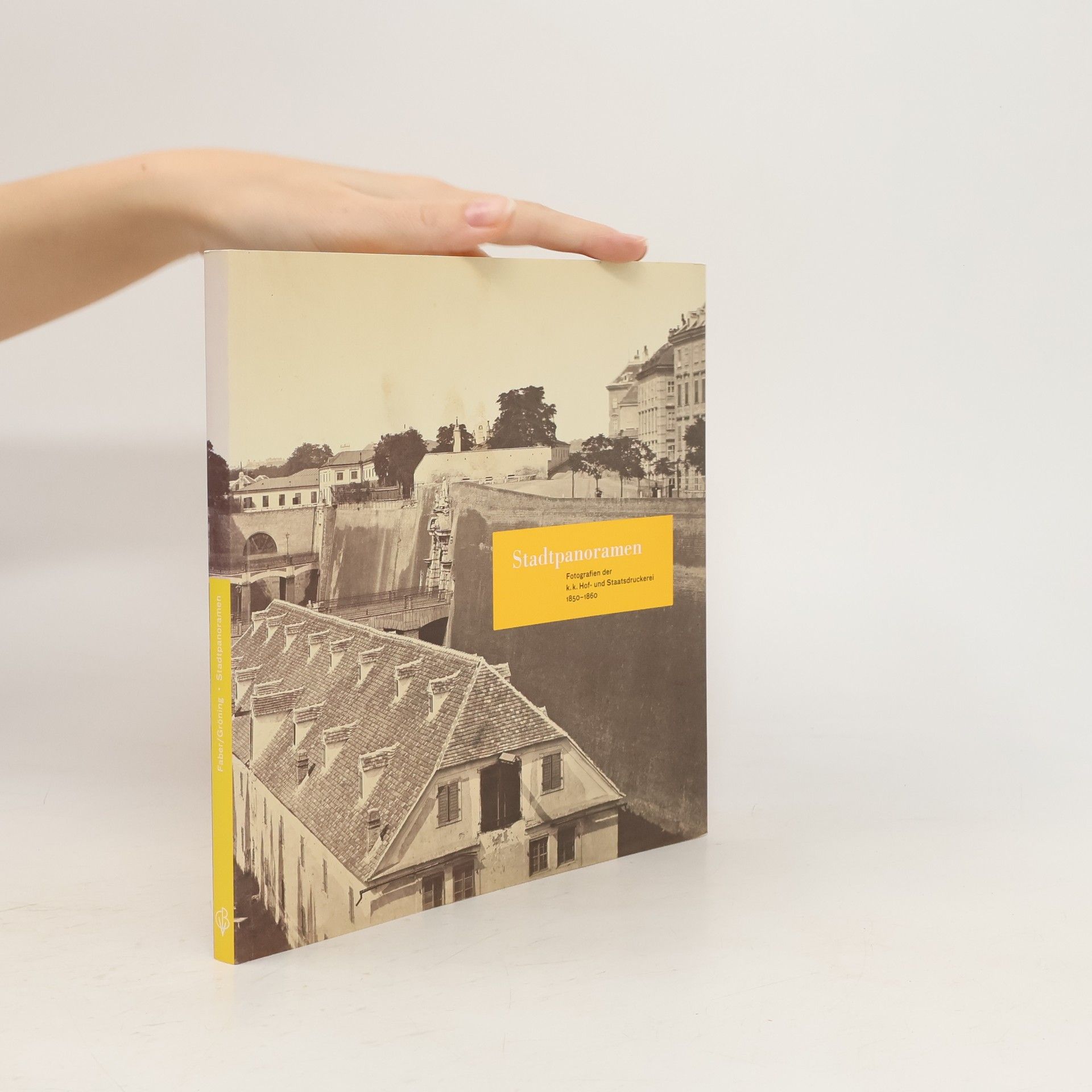 Monika Faber Stadtpanoramen