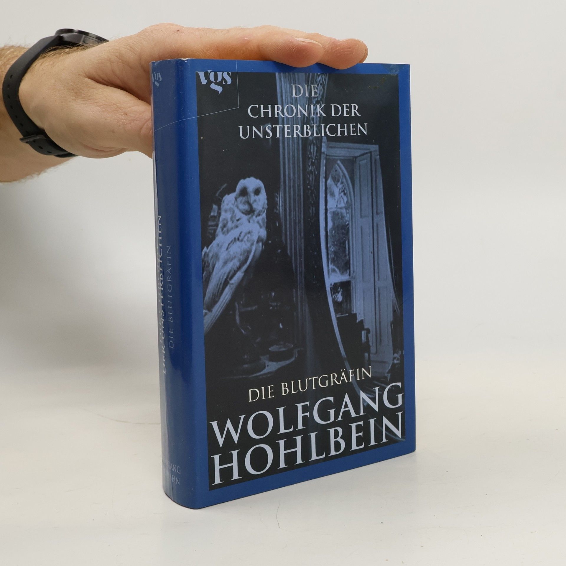 Wolfgang Hohlbein Die Blutgräfin