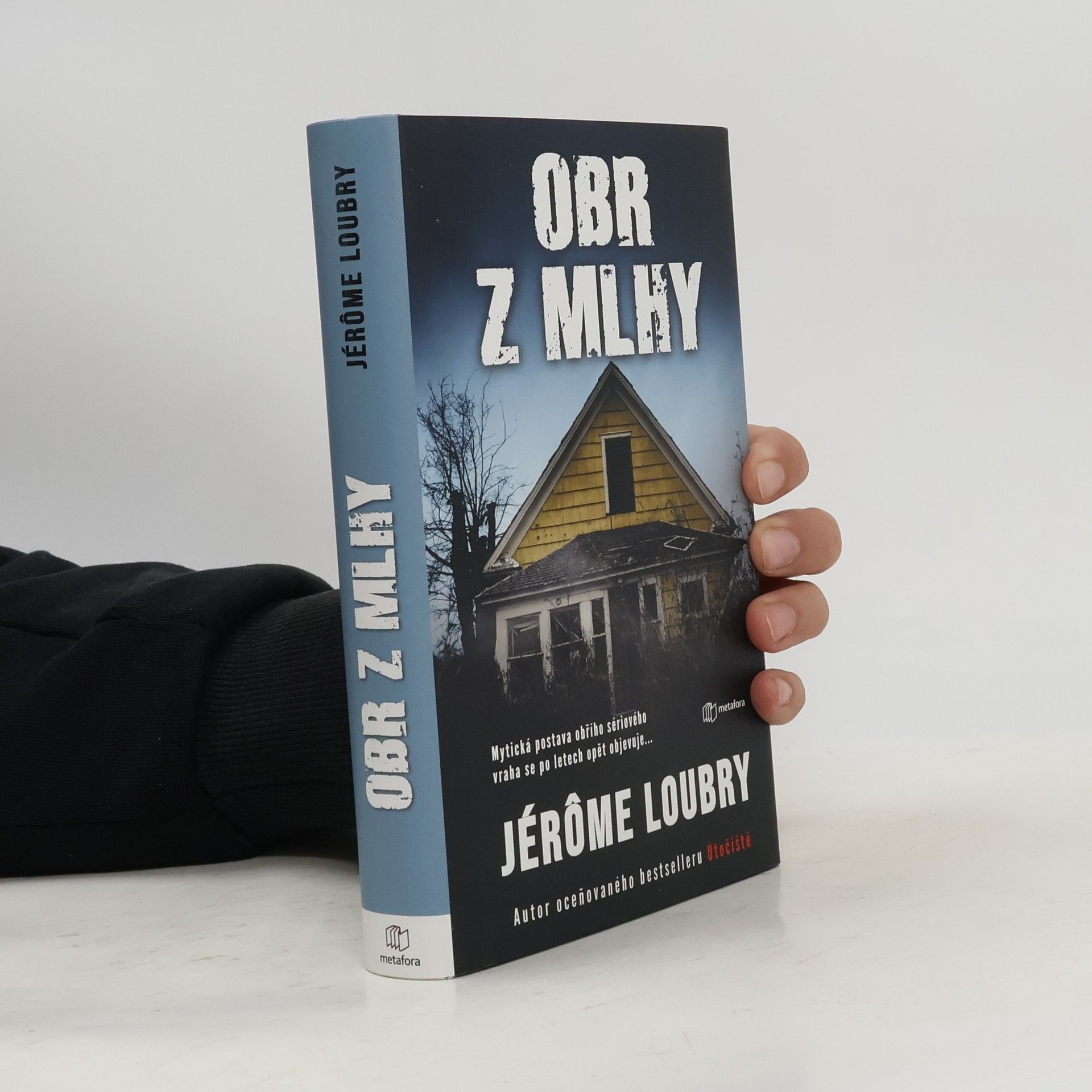 Jérôme Loubry Obr z mlhy