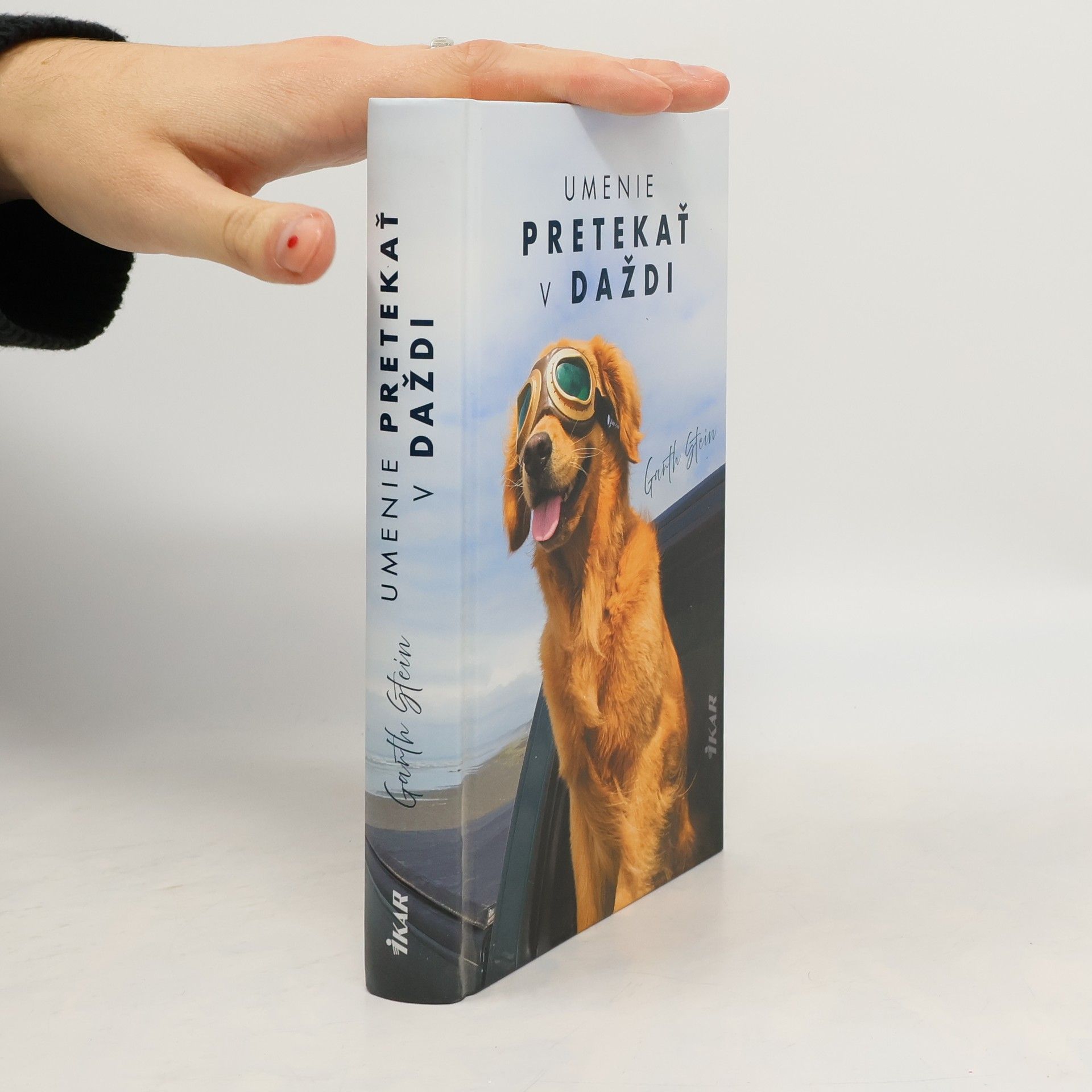 Garth Stein Umenie pretekať v daždi