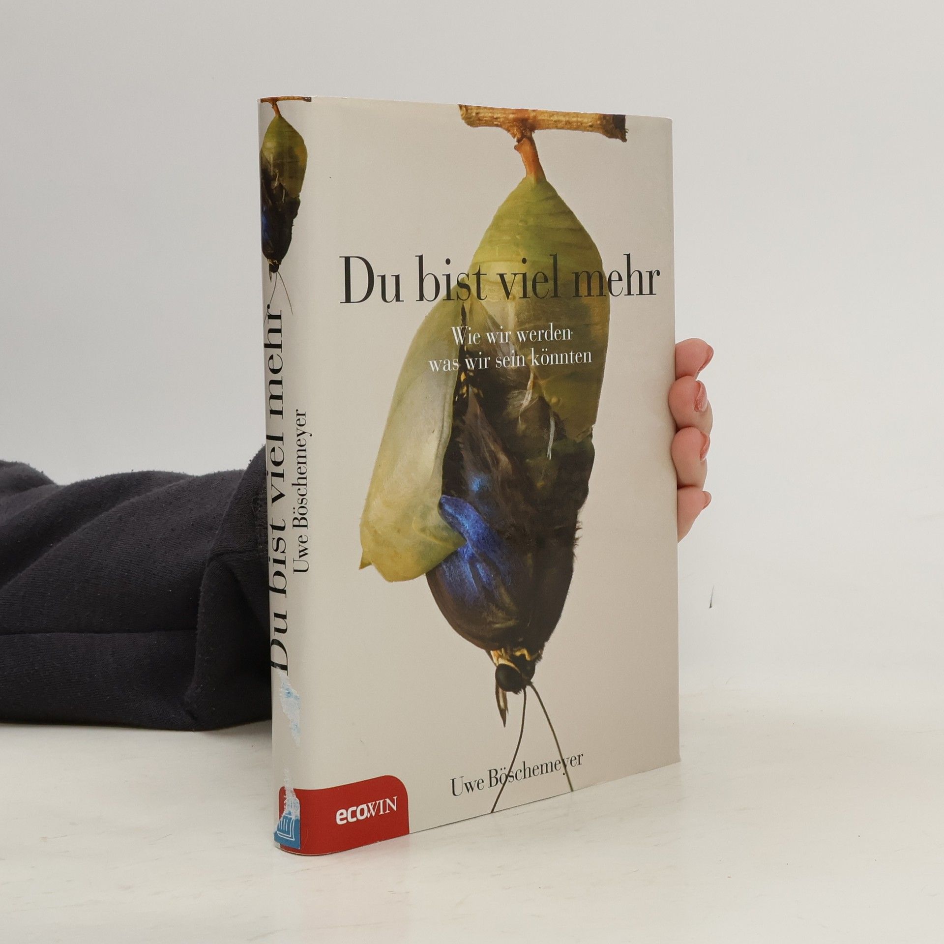 Uwe Böschemeyer Du bist viel mehr