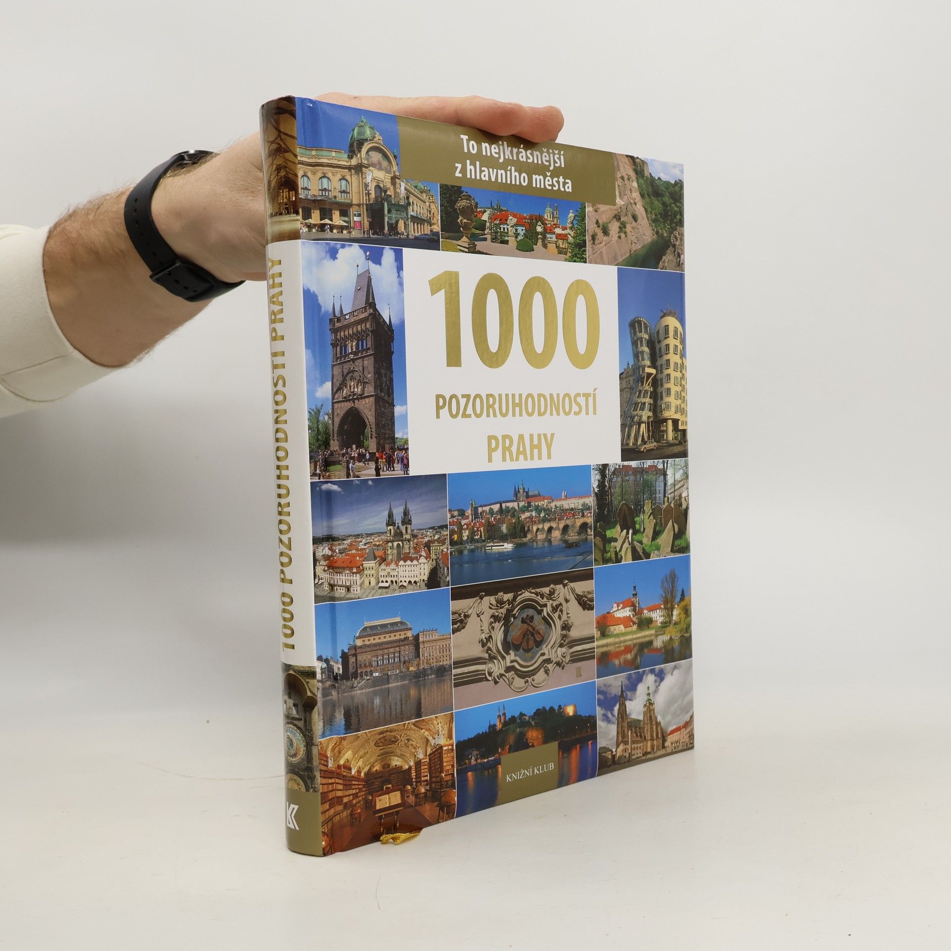 P. David 1000 pozoruhodností Prahy