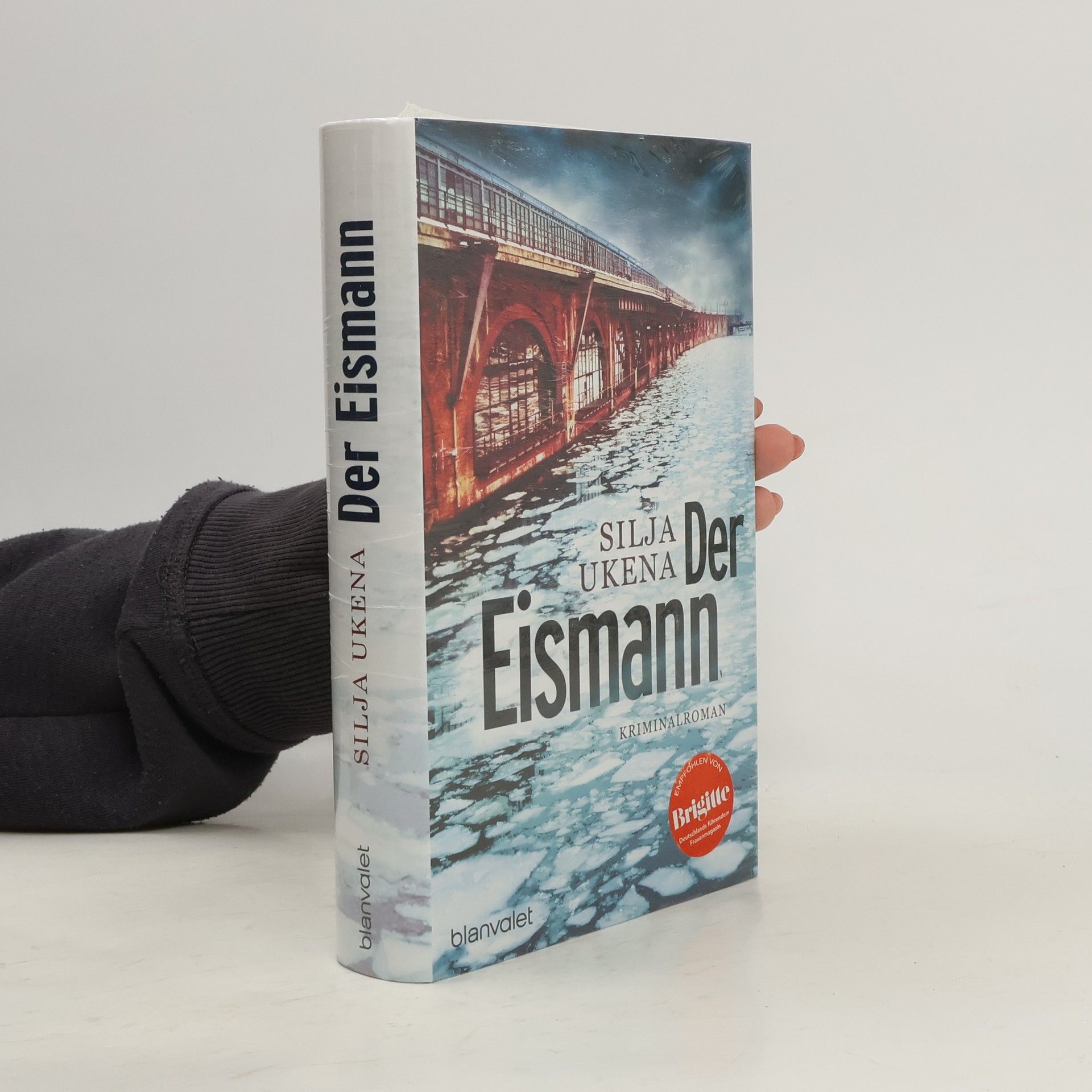 Silja Ukena Der Eismann