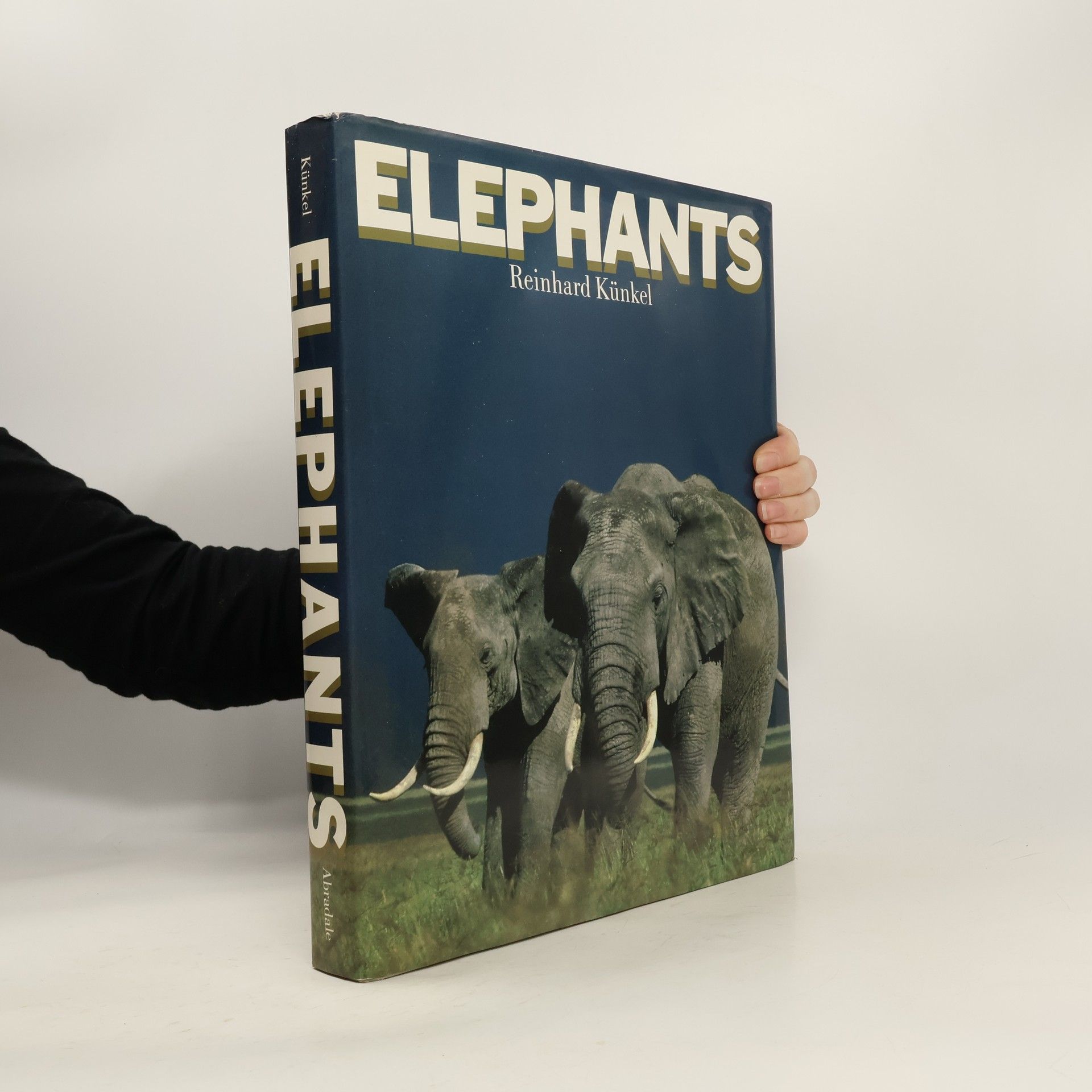 Reinhard Künkel Elephants