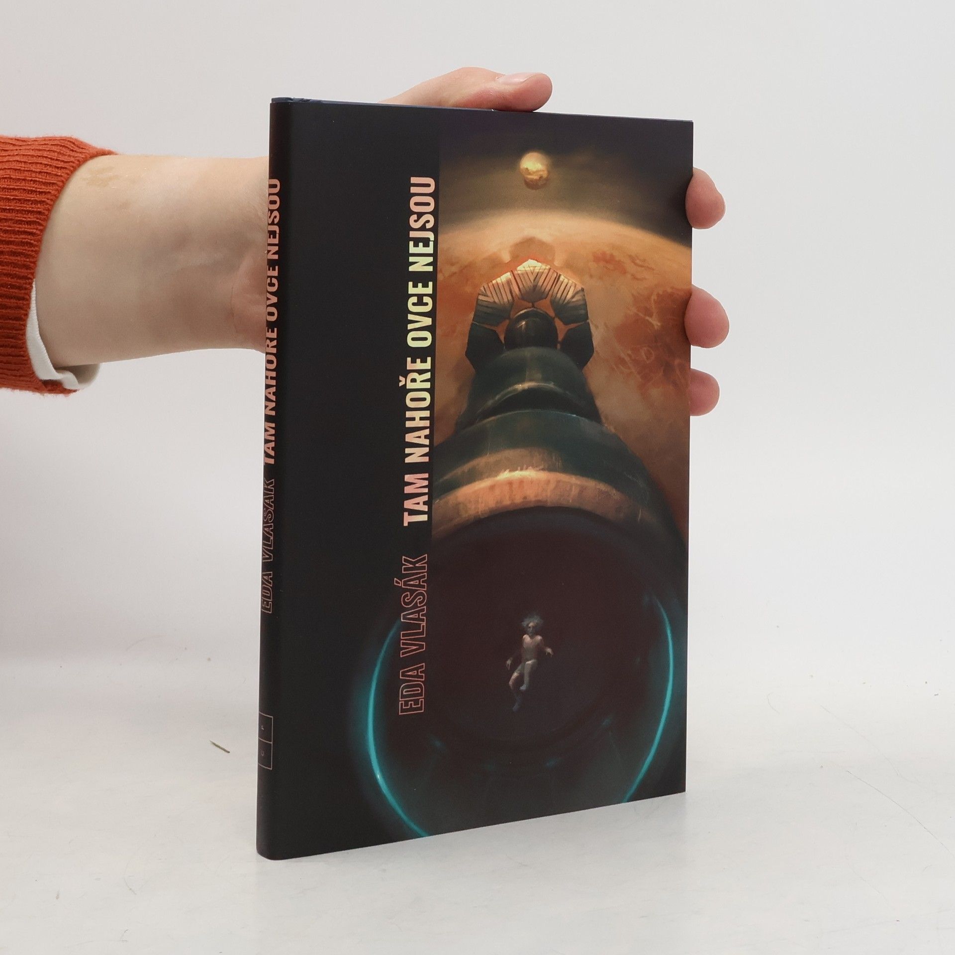 Eda Vlasák Tam nahoře ovce nejsou