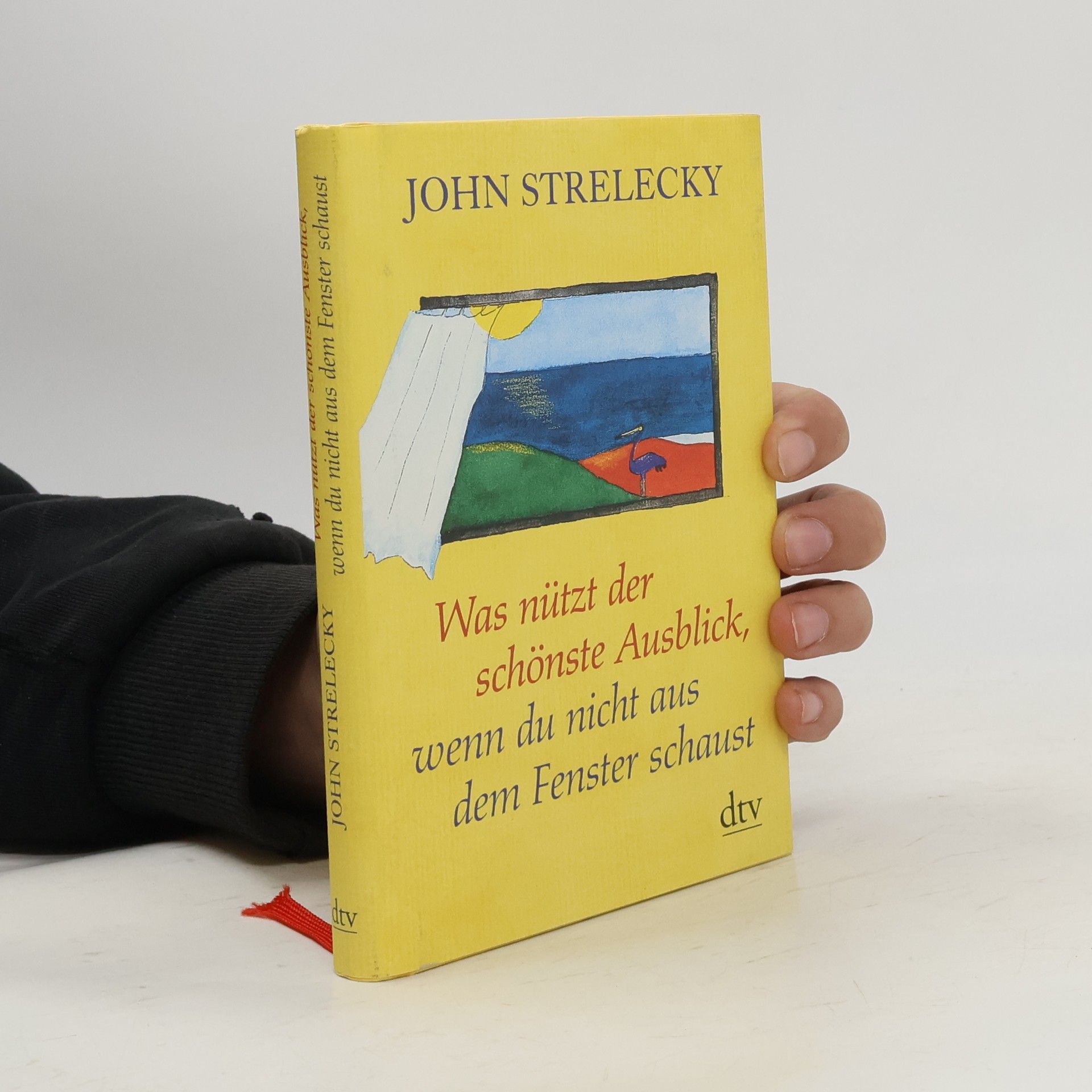 John P. Strelecky Was nützt der schönste Ausblick, wenn du nicht aus dem Fenster schaust