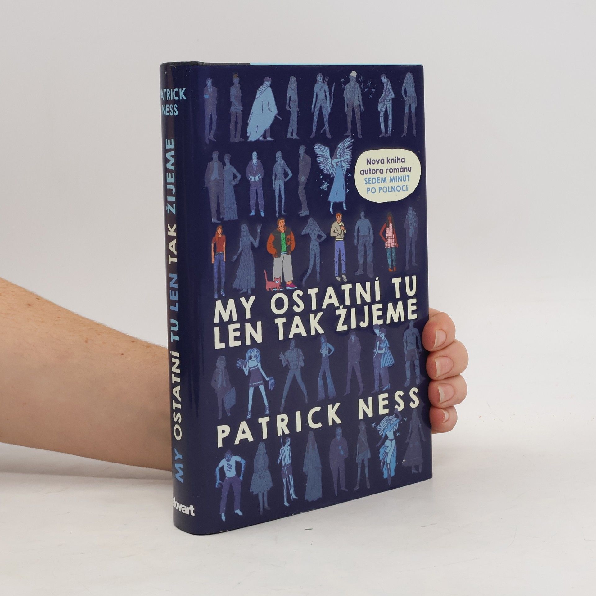 Patrick Ness My ostatní tu len tak žijeme