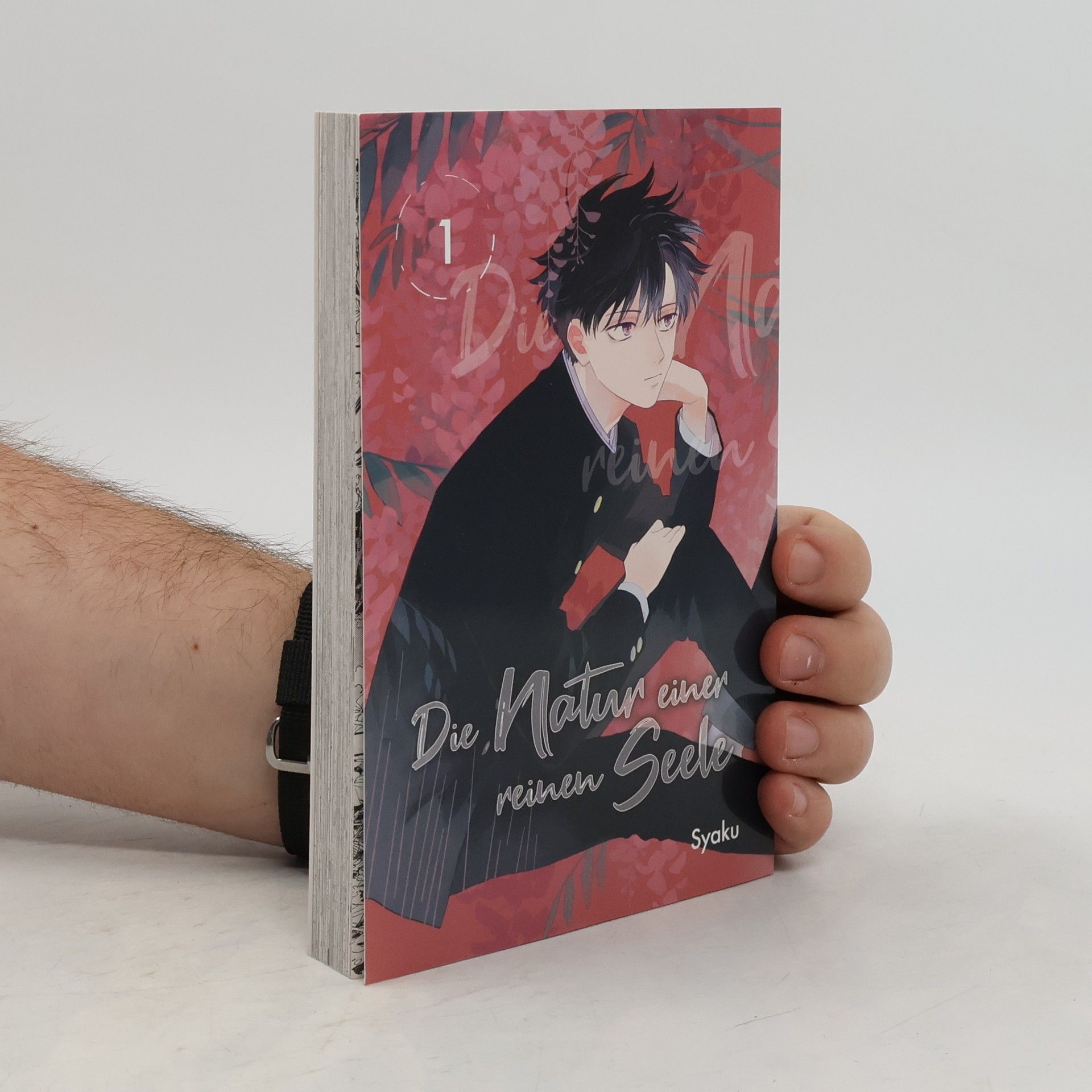 Die Natur einer reinen Seele 01