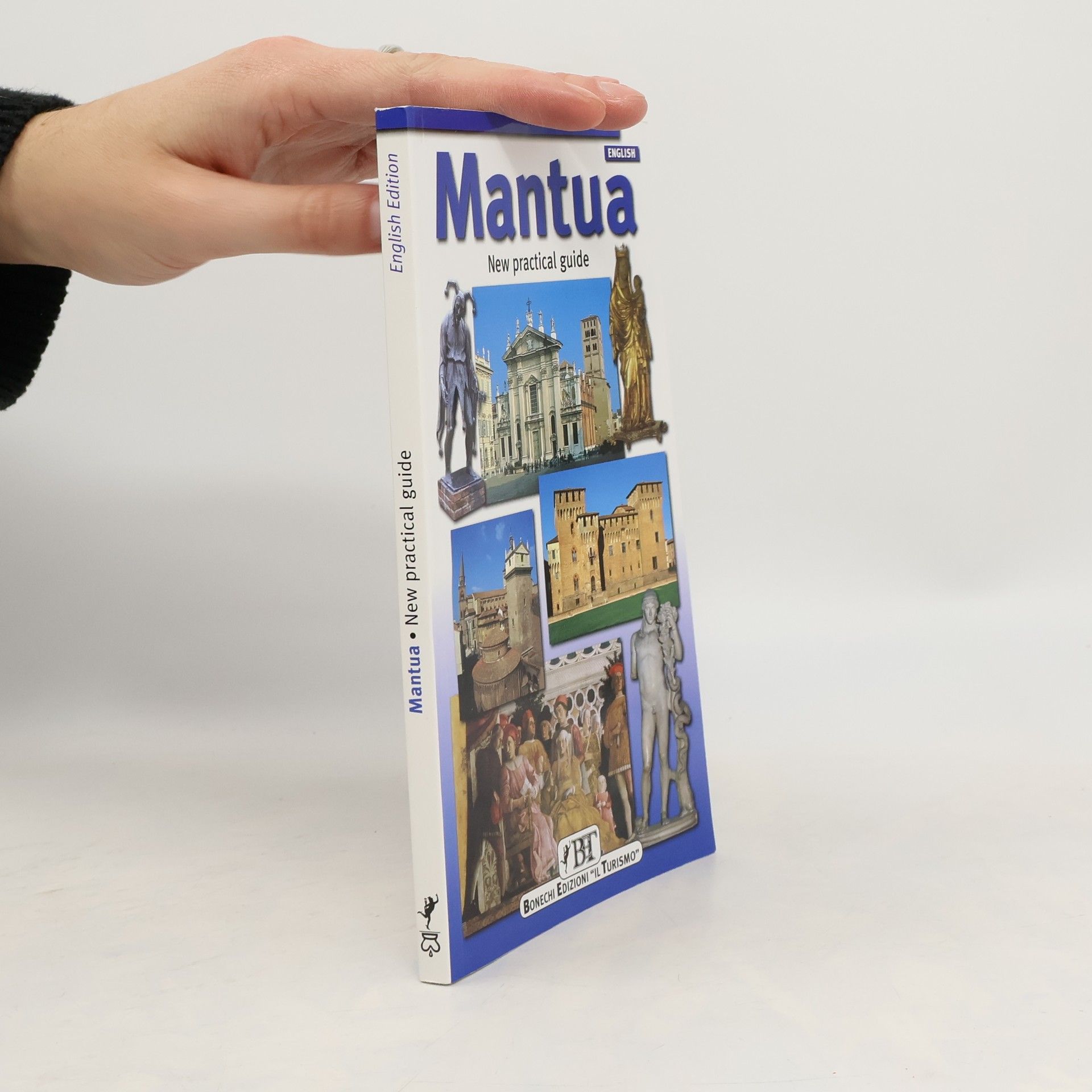 Autorenkollektiv Mantua. New practical guide
