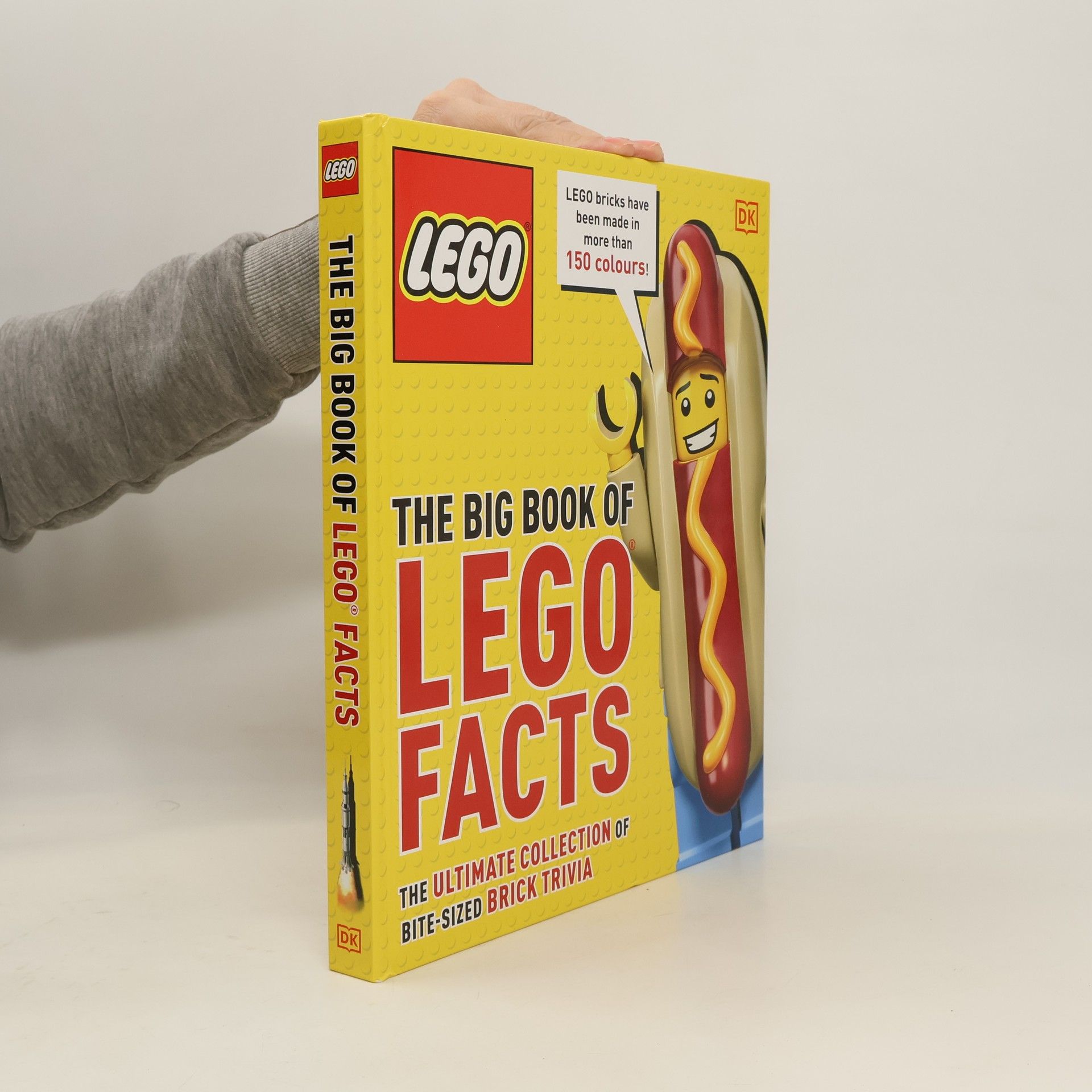 Simon Hugo The Big Book of LEGO Facts