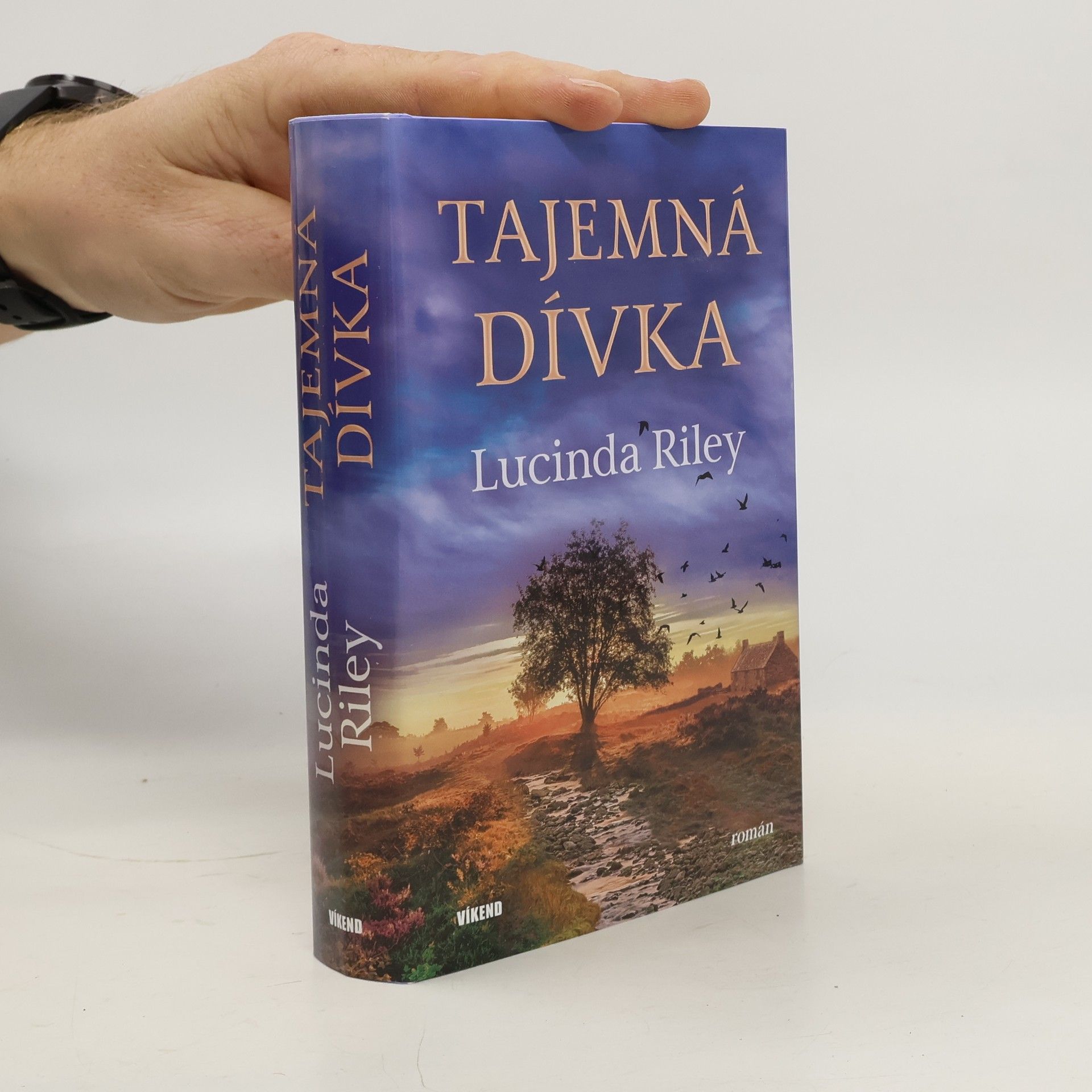 Lucinda Riley Tajemná dívka