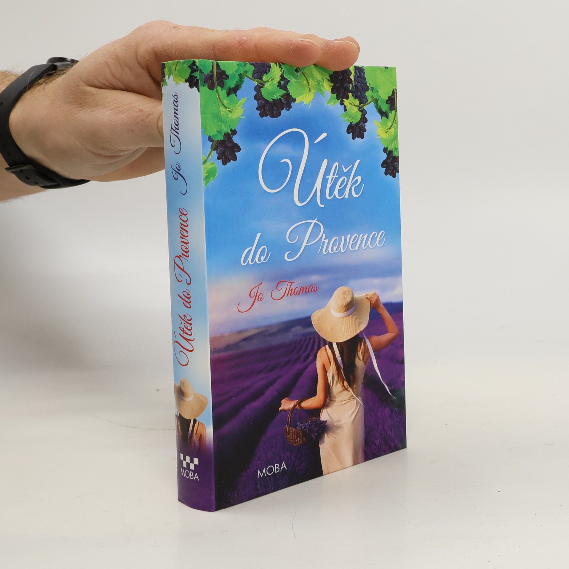 Jo Thomas Útěk do Provence