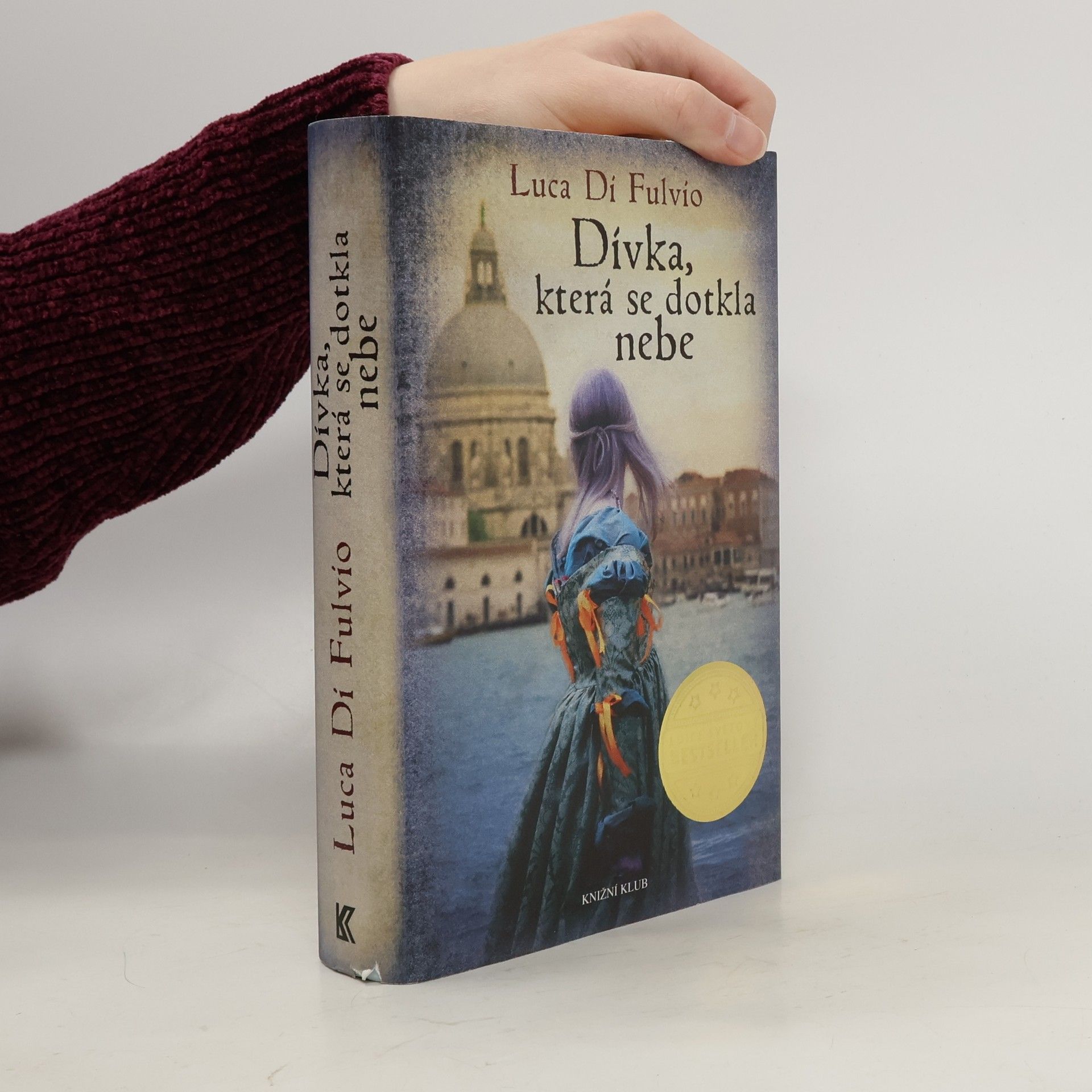 Luca Di Fulvio Dívka, která se dotkla nebe