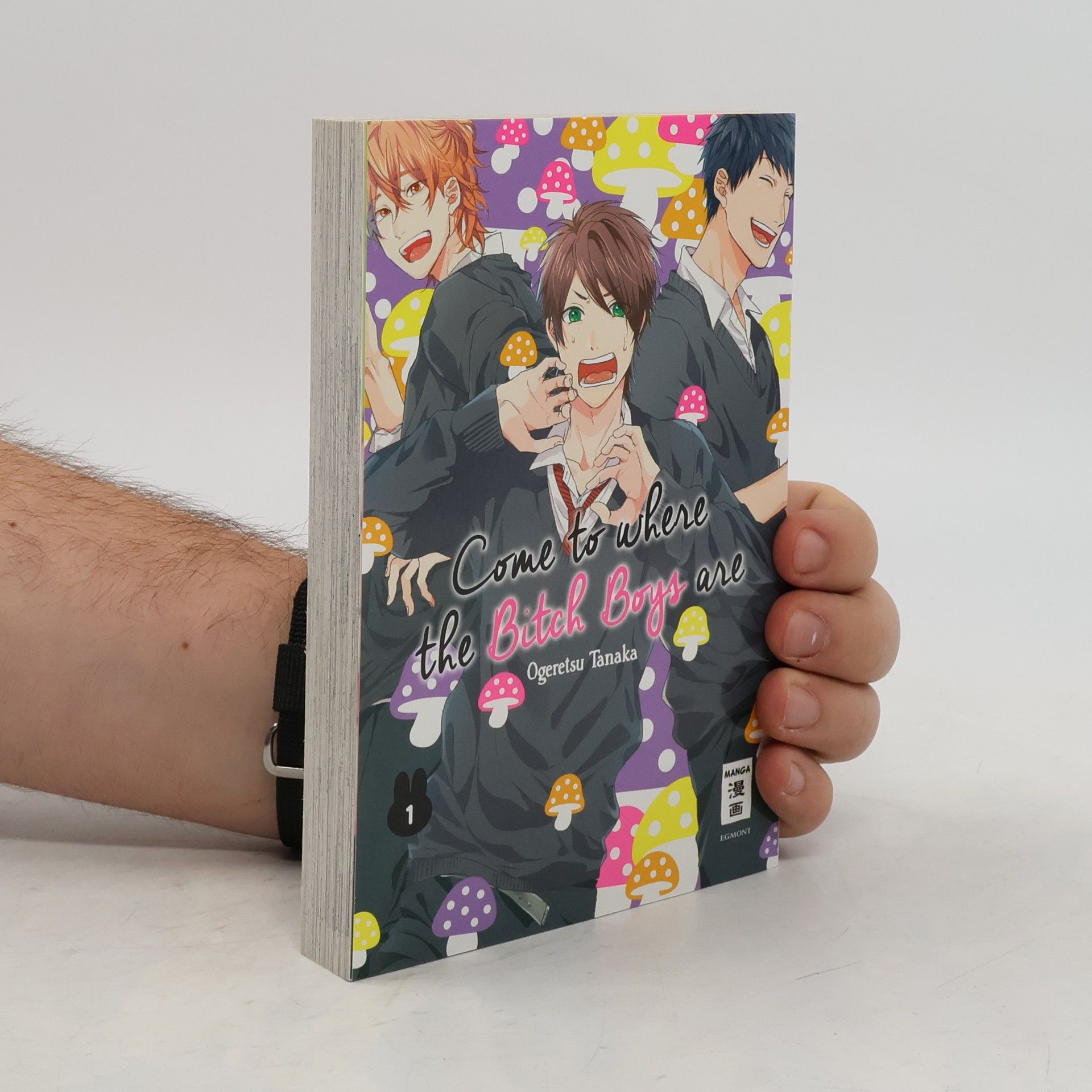 Ogeretsu Tanaka Come to where the Bitch Boys are vol. 1