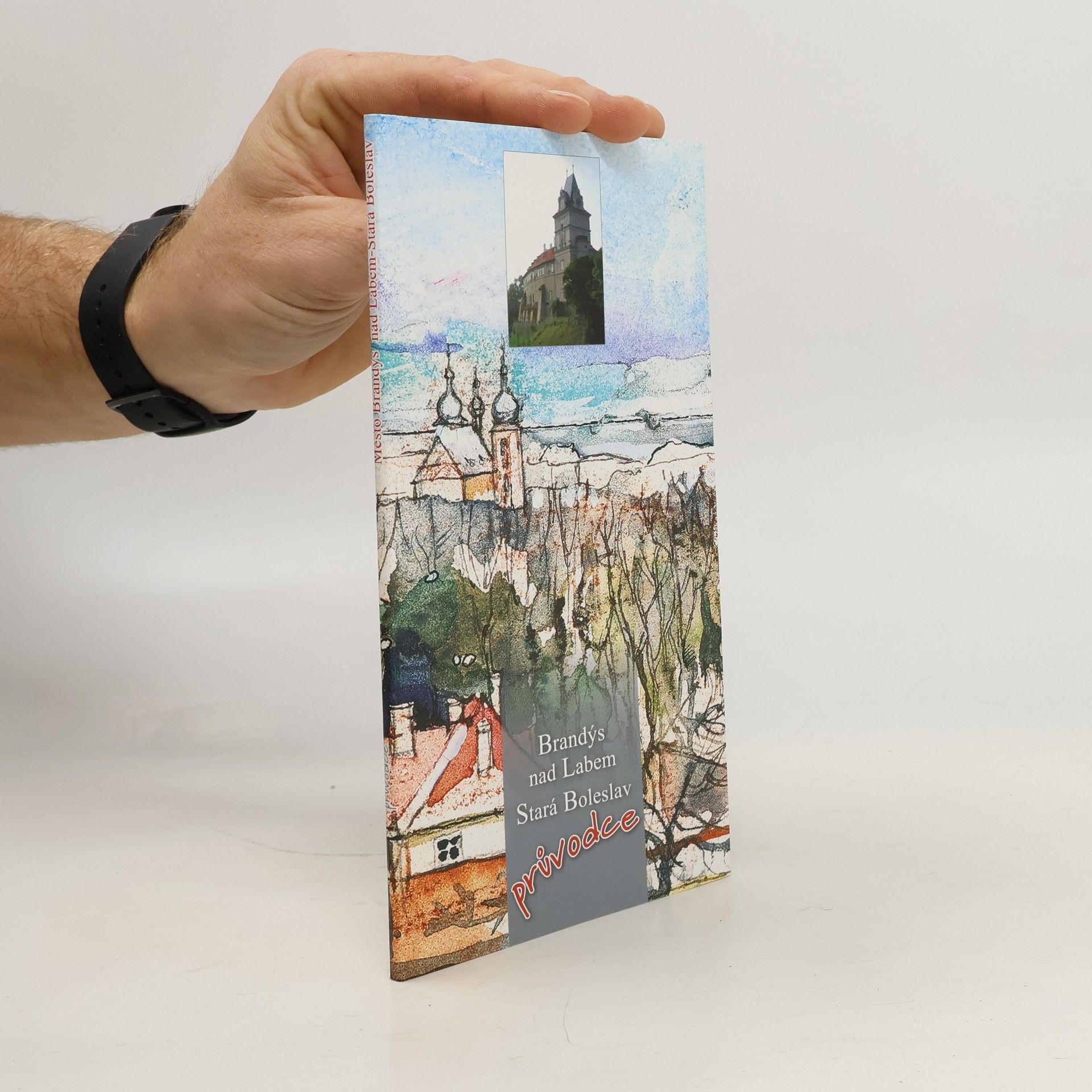 Collectif d'auteurs Město Brandýs nad Labem-Stará Boleslav. Turistický průvodce