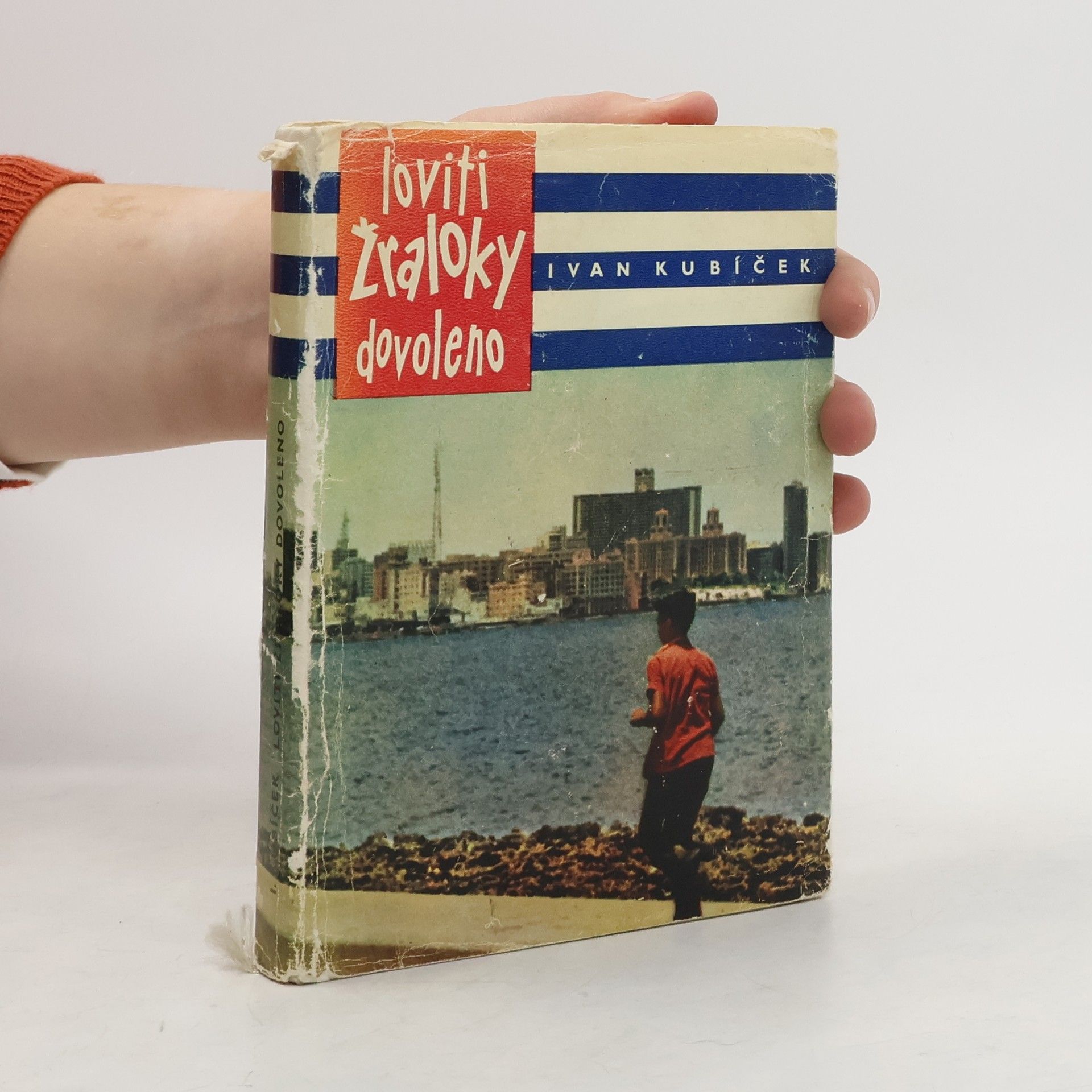 Loviti žraloky dovoleno