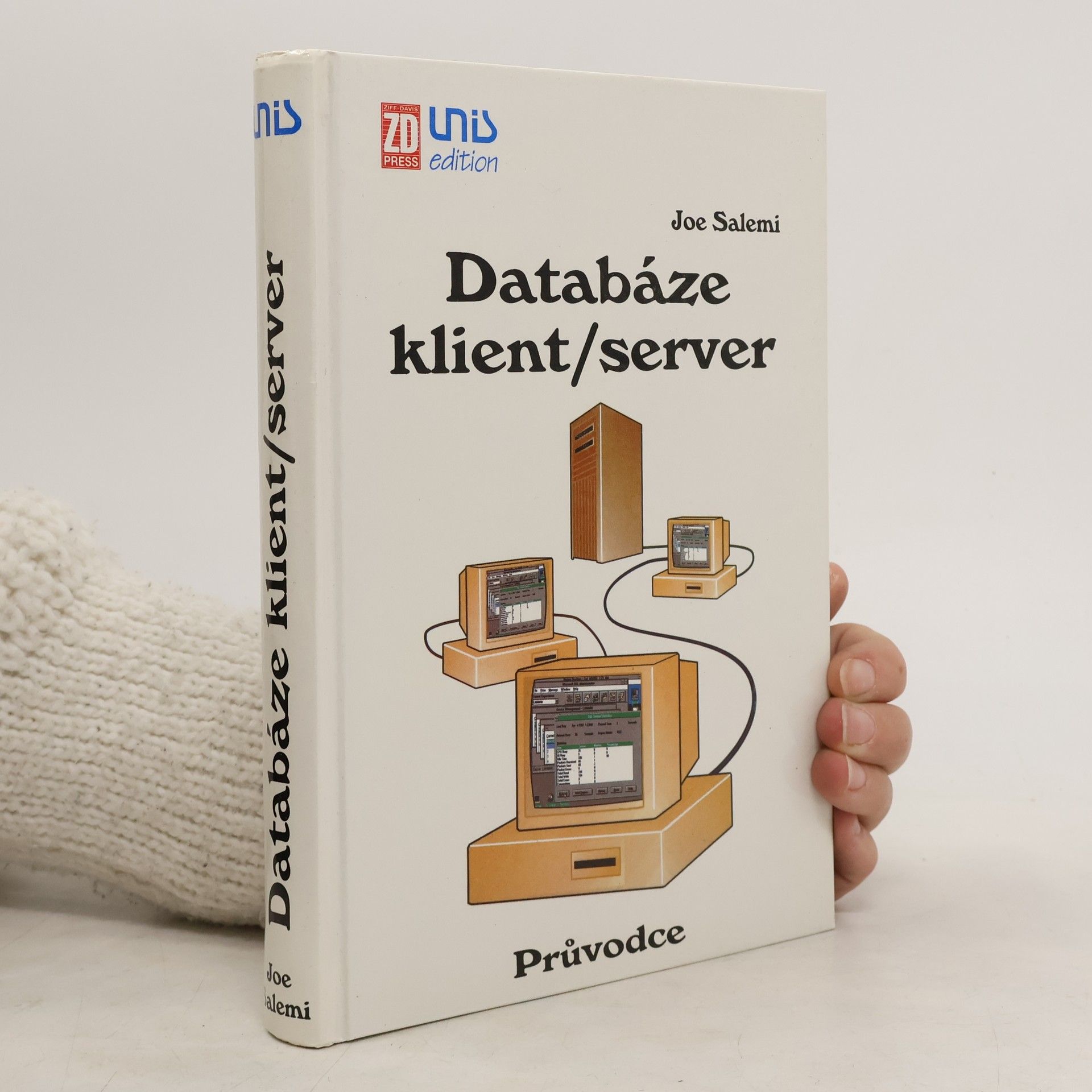 Joe Salemi Databáze klient/ server: Průvodce