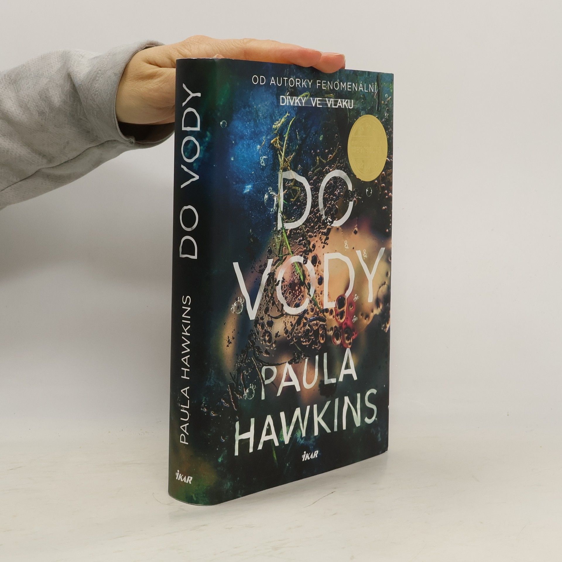 Paula Hawkins Do vody